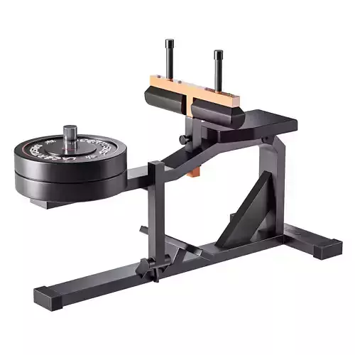 Seated Calf Machine Plate Loaded 3D model