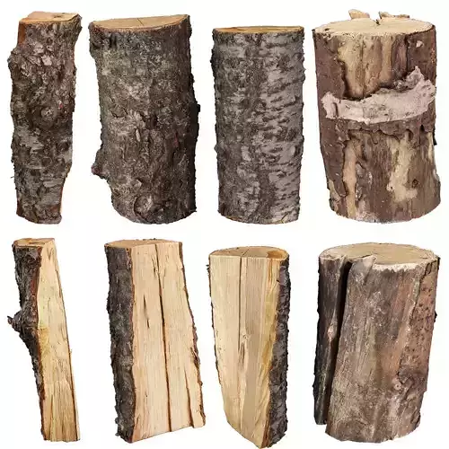 3d scane wood 01 - 4K Photorealistic - high poly - low poly