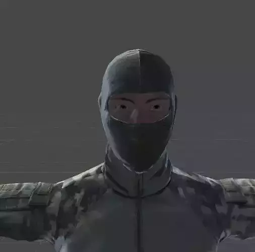 3D High Quality Character Rigged Low-poly 3D model