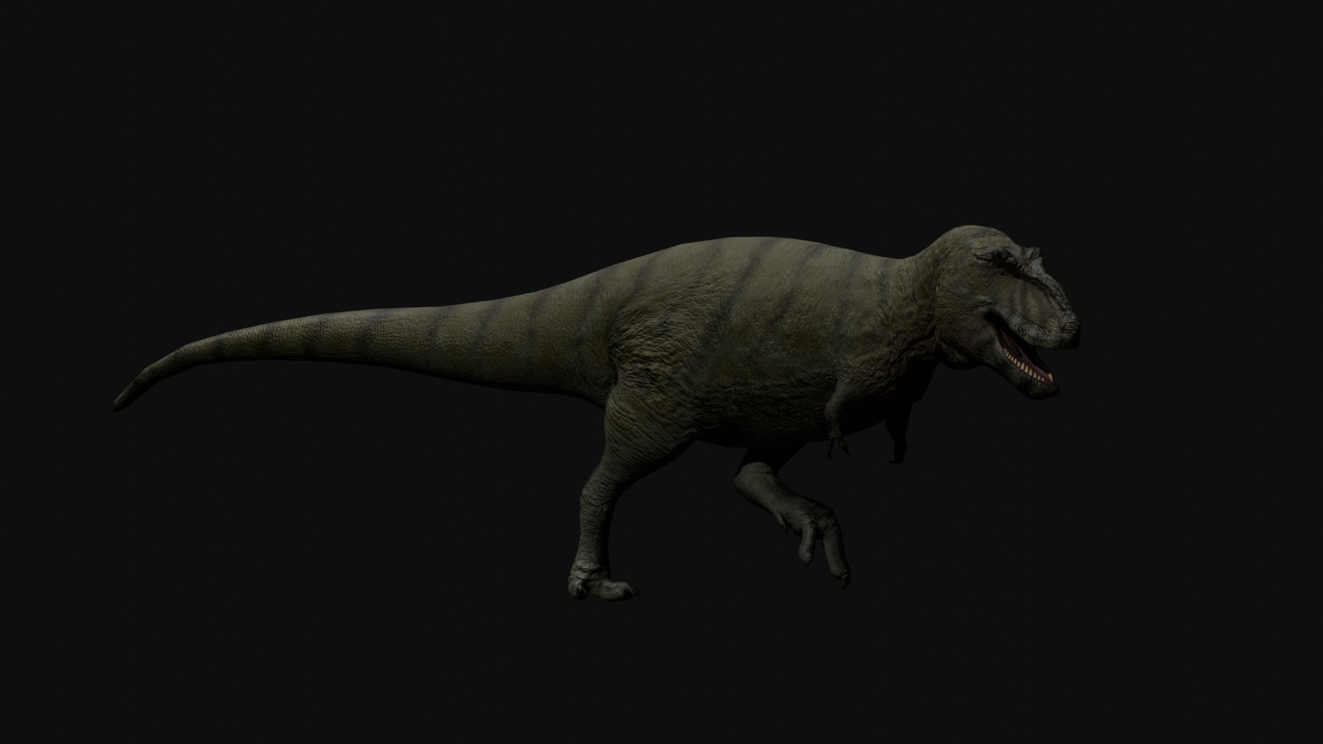 Trex Tyrannosaurus Realistic 3D Model Low-poly 3D model_8
