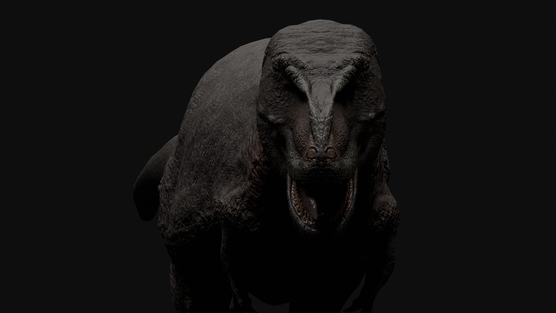 Trex Tyrannosaurus Realistic 3D Model Low-poly 3D model_11