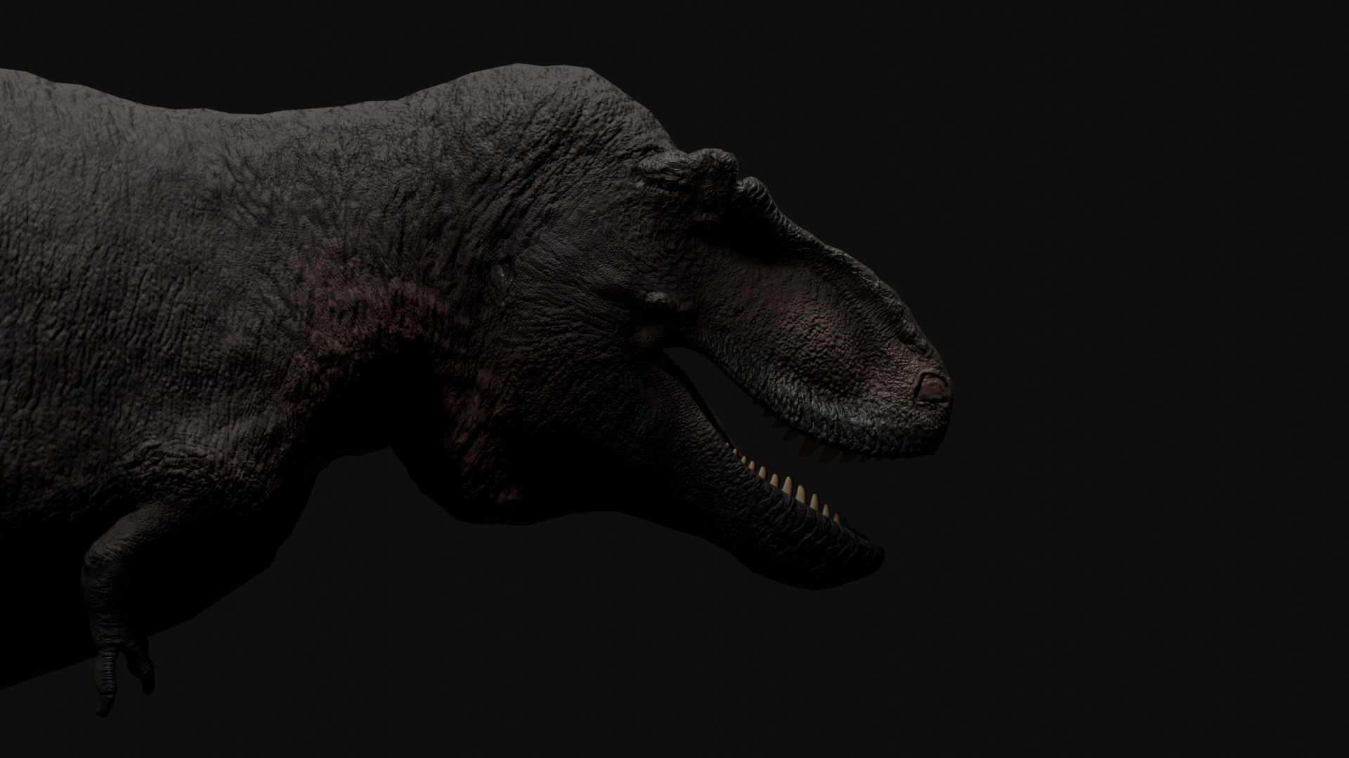 Trex Tyrannosaurus Realistic 3D Model Low-poly 3D model_12