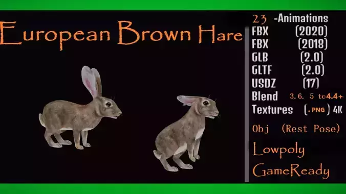 European Brown Hare