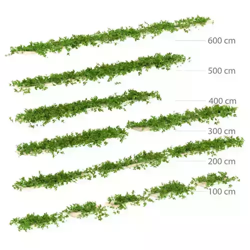Leaves for shelves 13 items 3D model