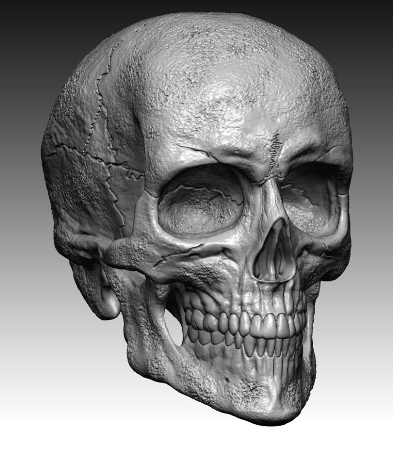 scull 01 3D print model_1