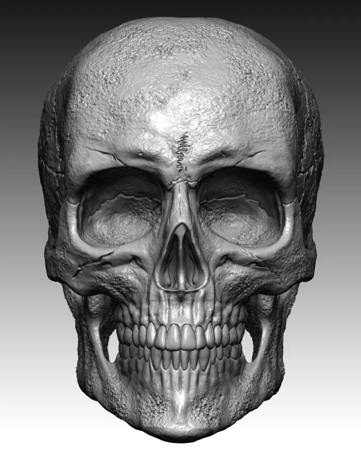 scull 01 3D print model_0