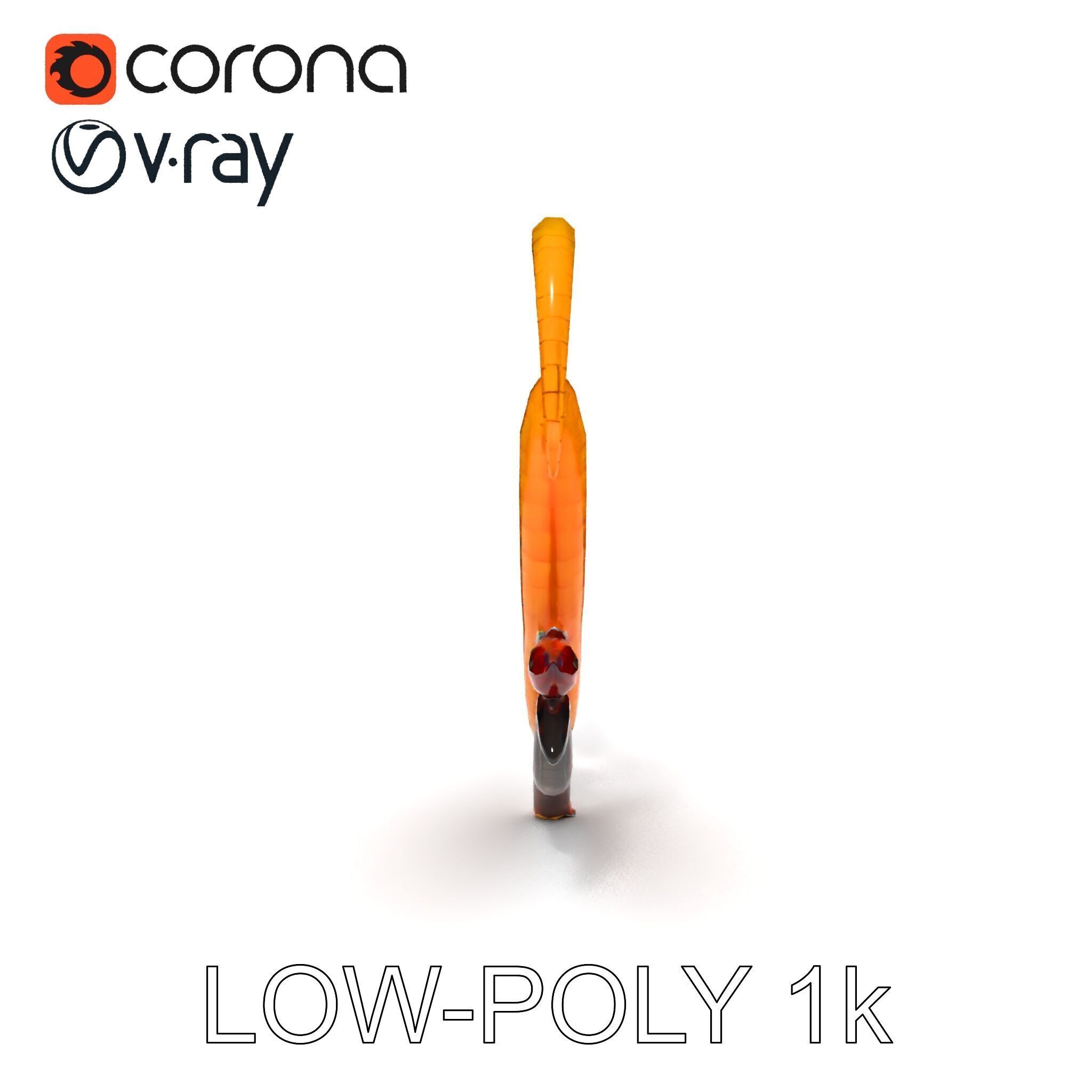 Realistic Centipede Model Pack Low-poly 3D model_25