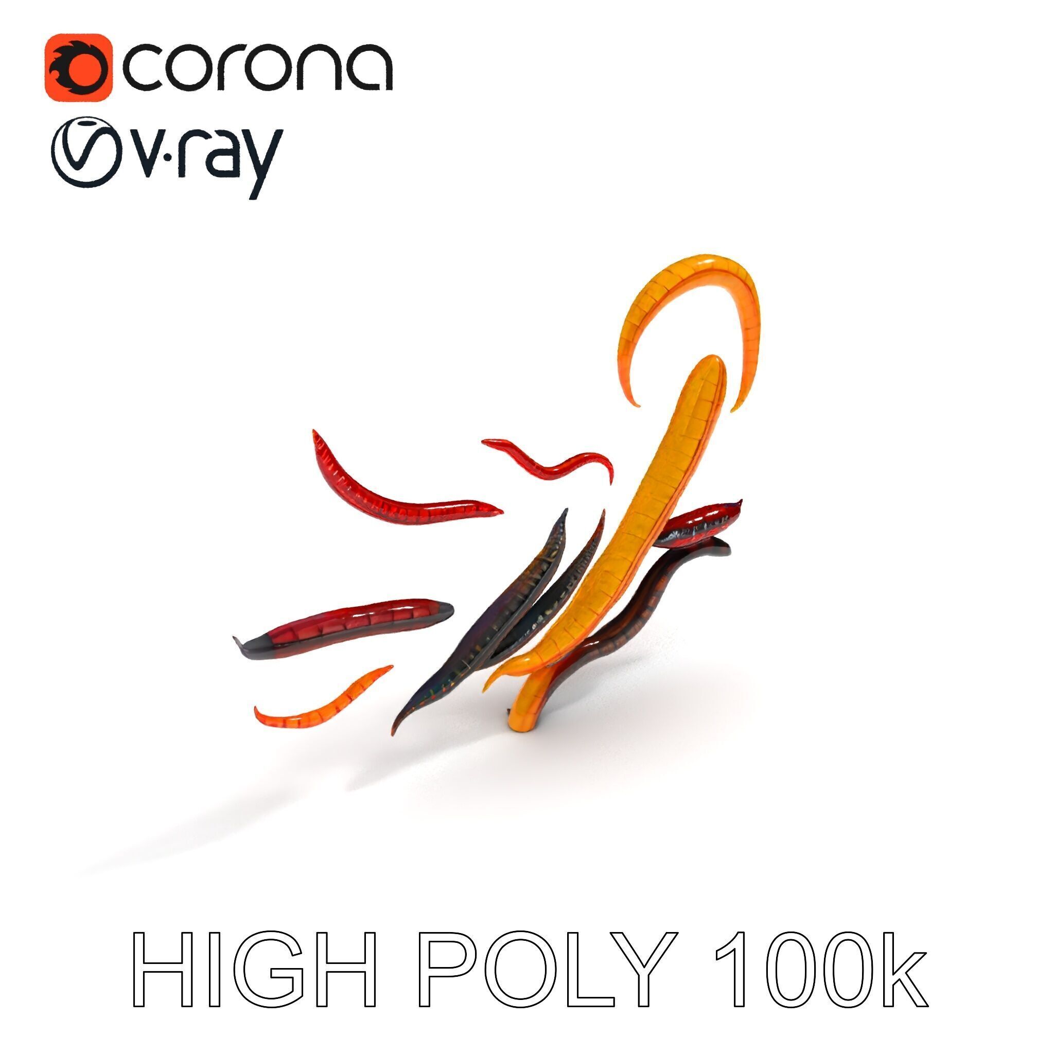 Realistic Centipede Model Pack Low-poly 3D model_13