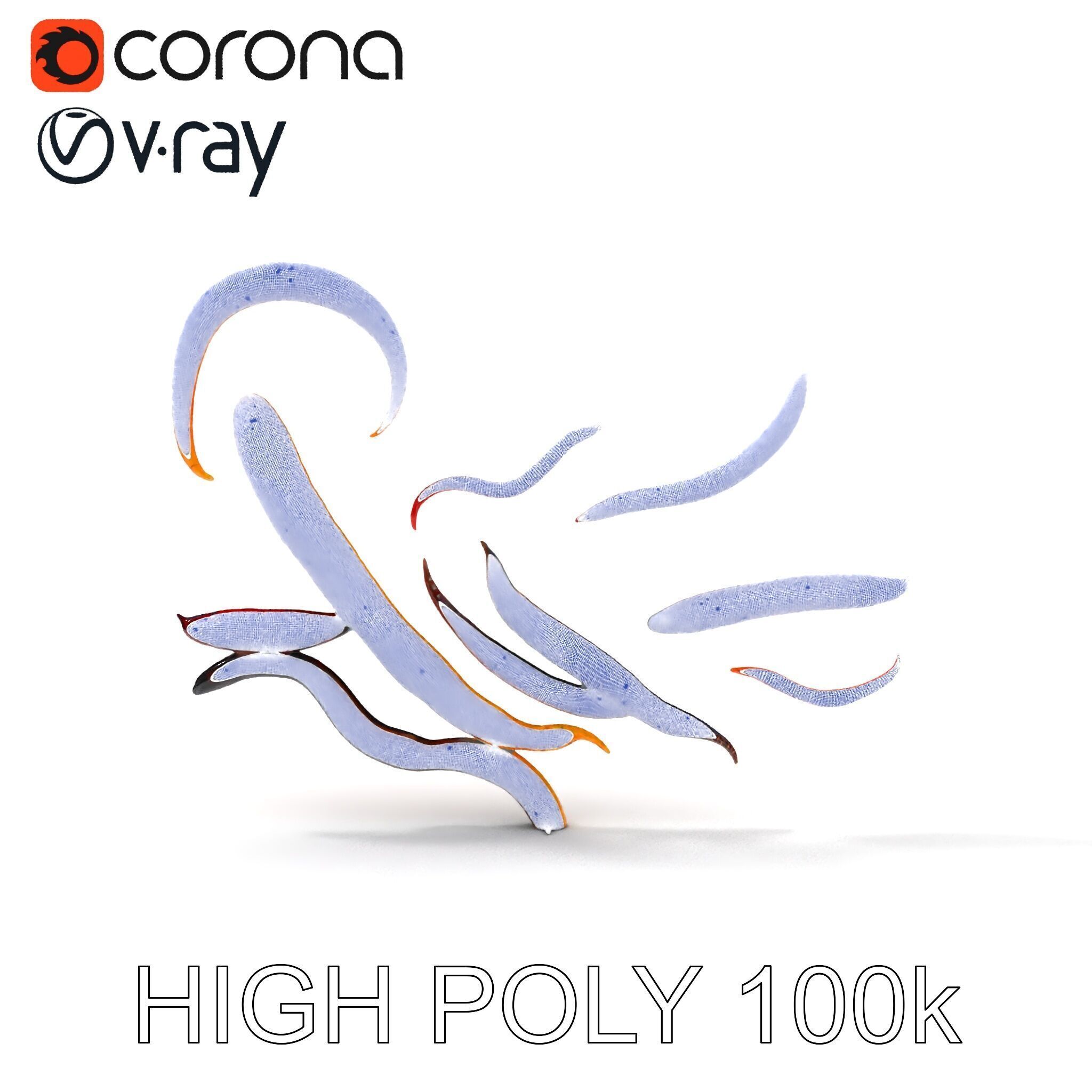 Realistic Centipede Model Pack Low-poly 3D model_10