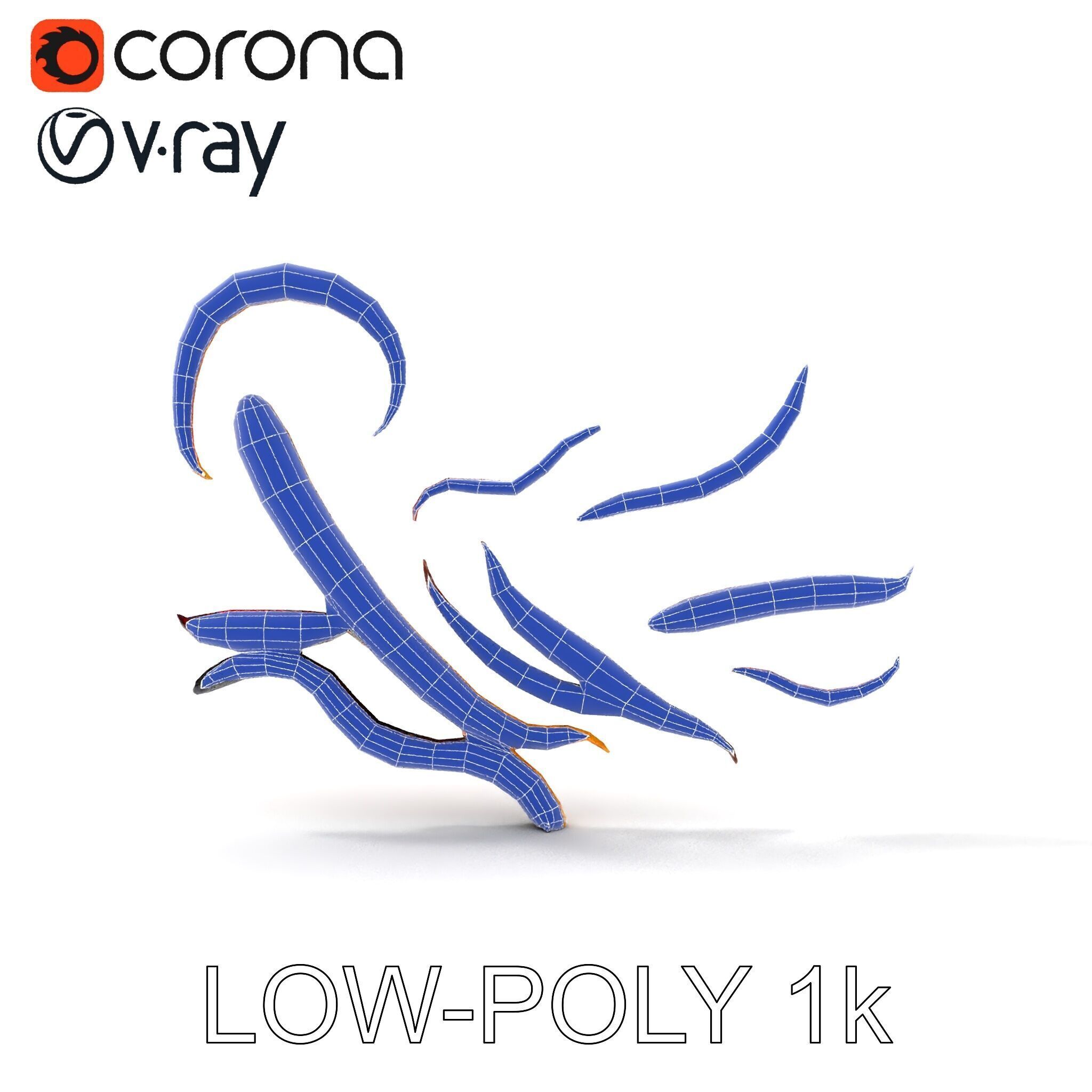 Realistic Centipede Model Pack Low-poly 3D model_9