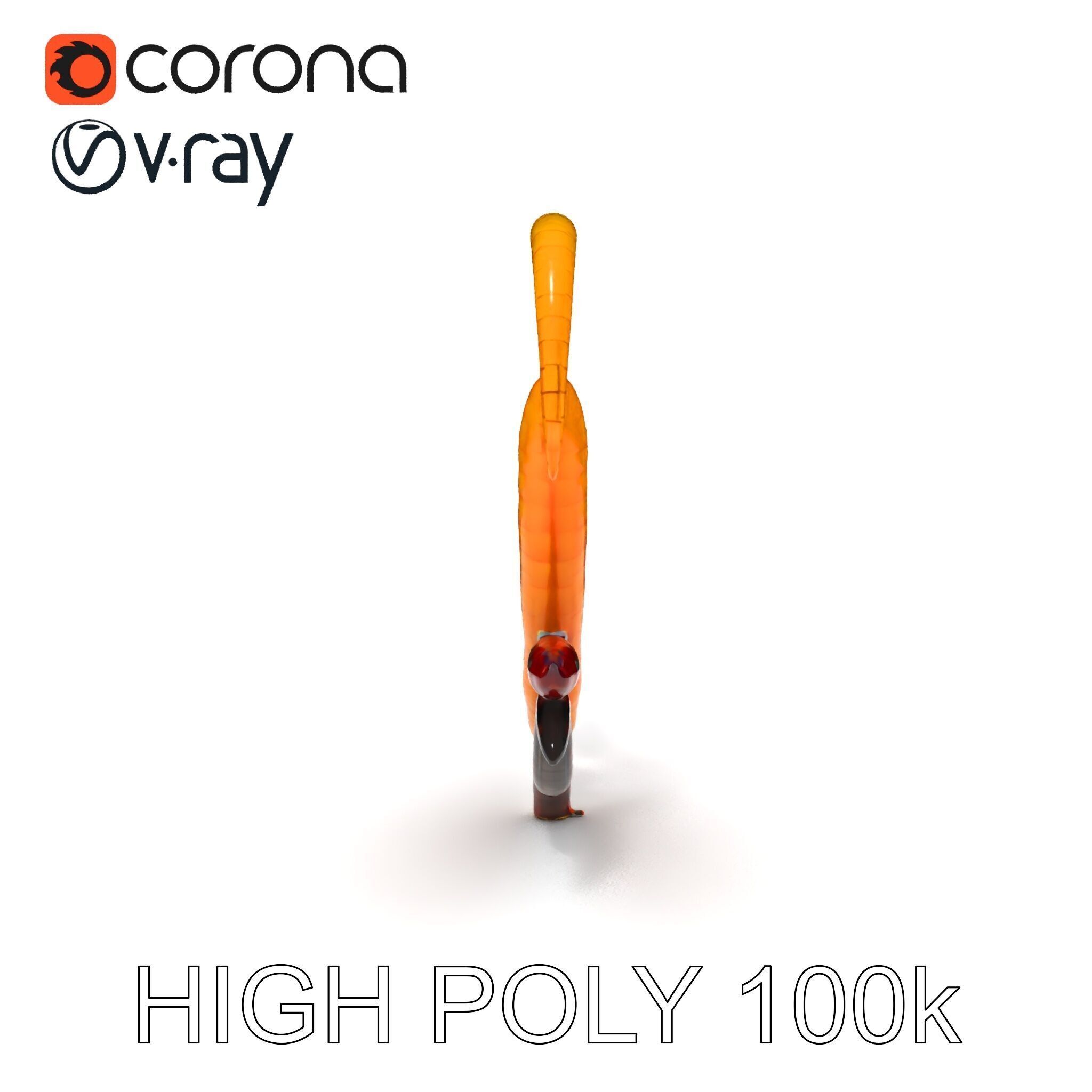 Realistic Centipede Model Pack Low-poly 3D model_32