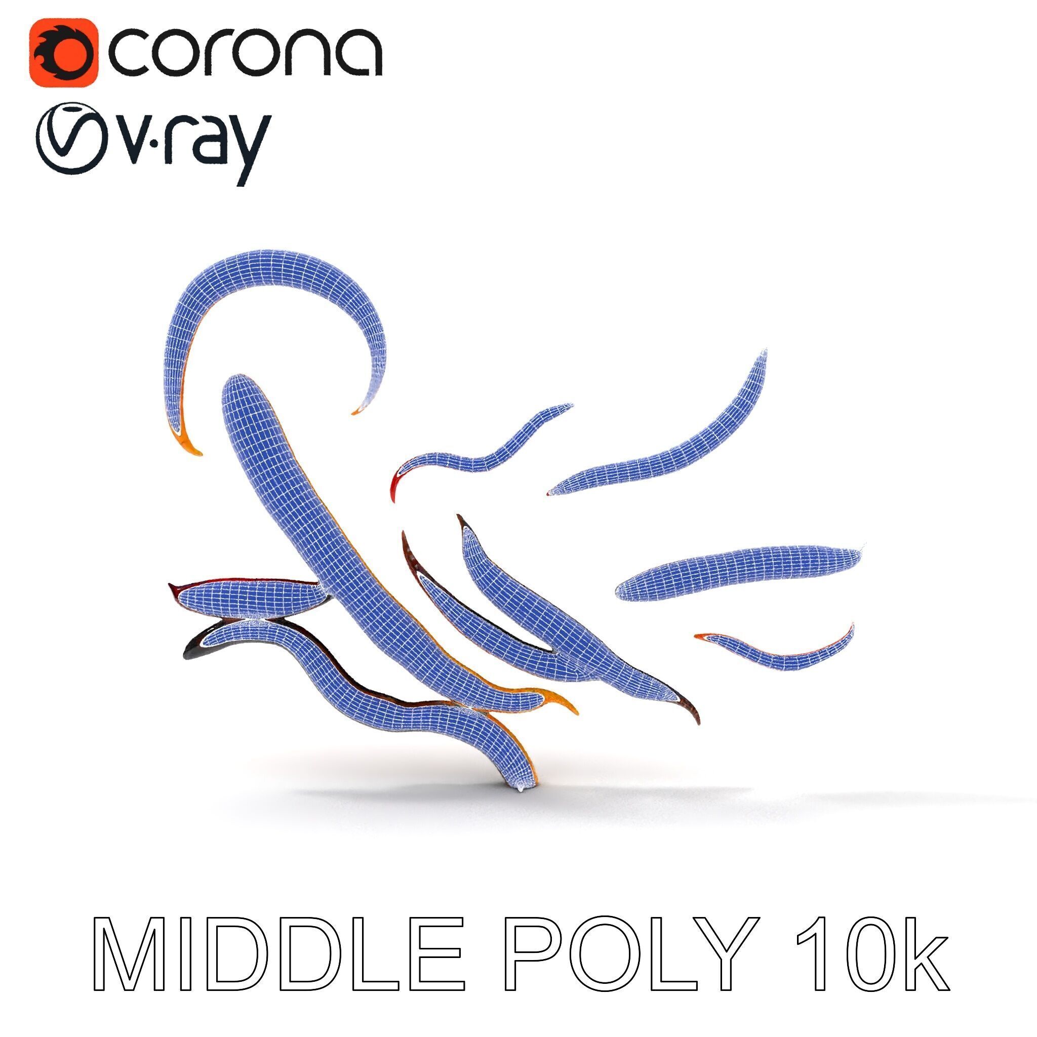 Realistic Centipede Model Pack Low-poly 3D model_11