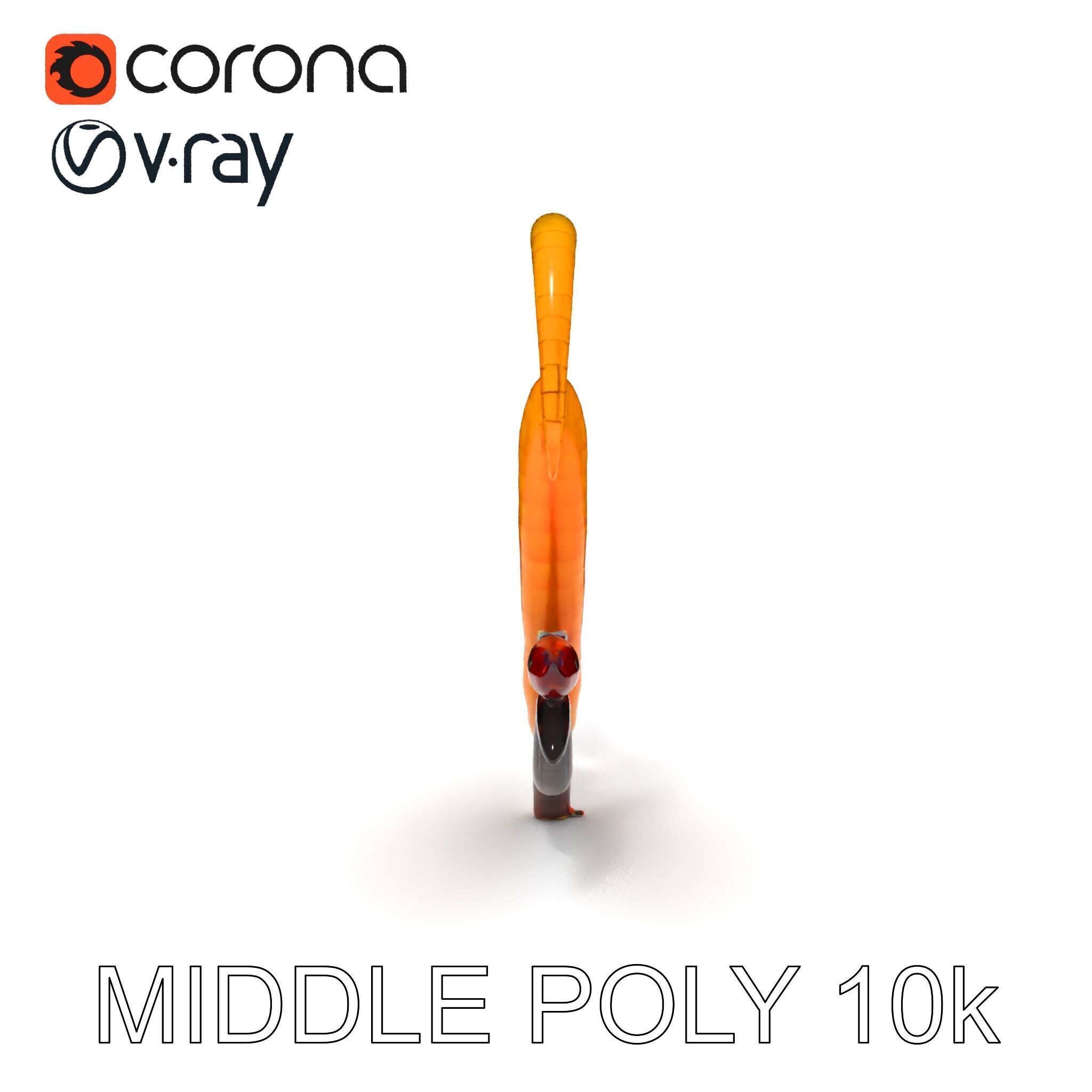 Realistic Centipede Model Pack Low-poly 3D model_8