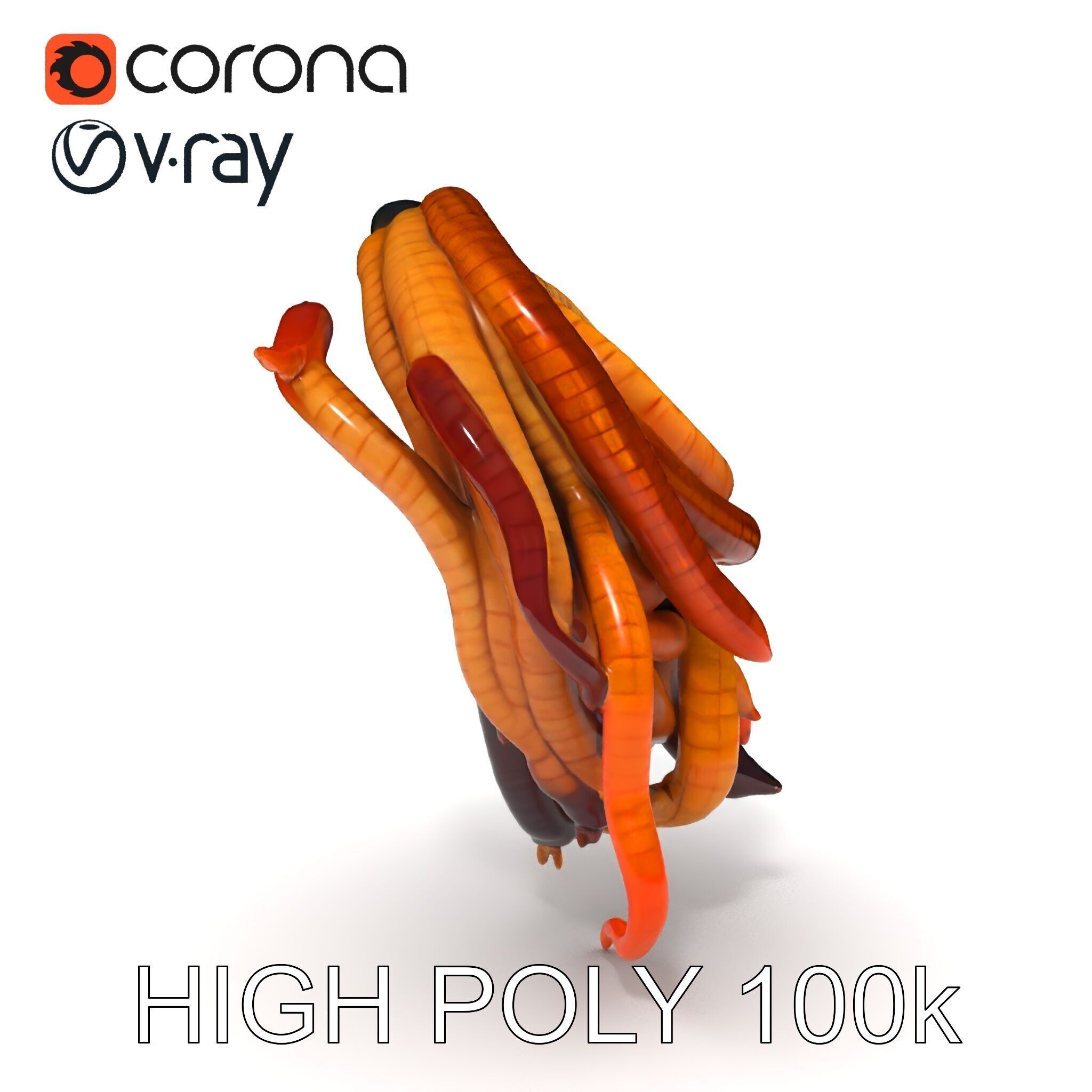 Realistic Worm Collection D Model Pack Low-poly 3D model_24