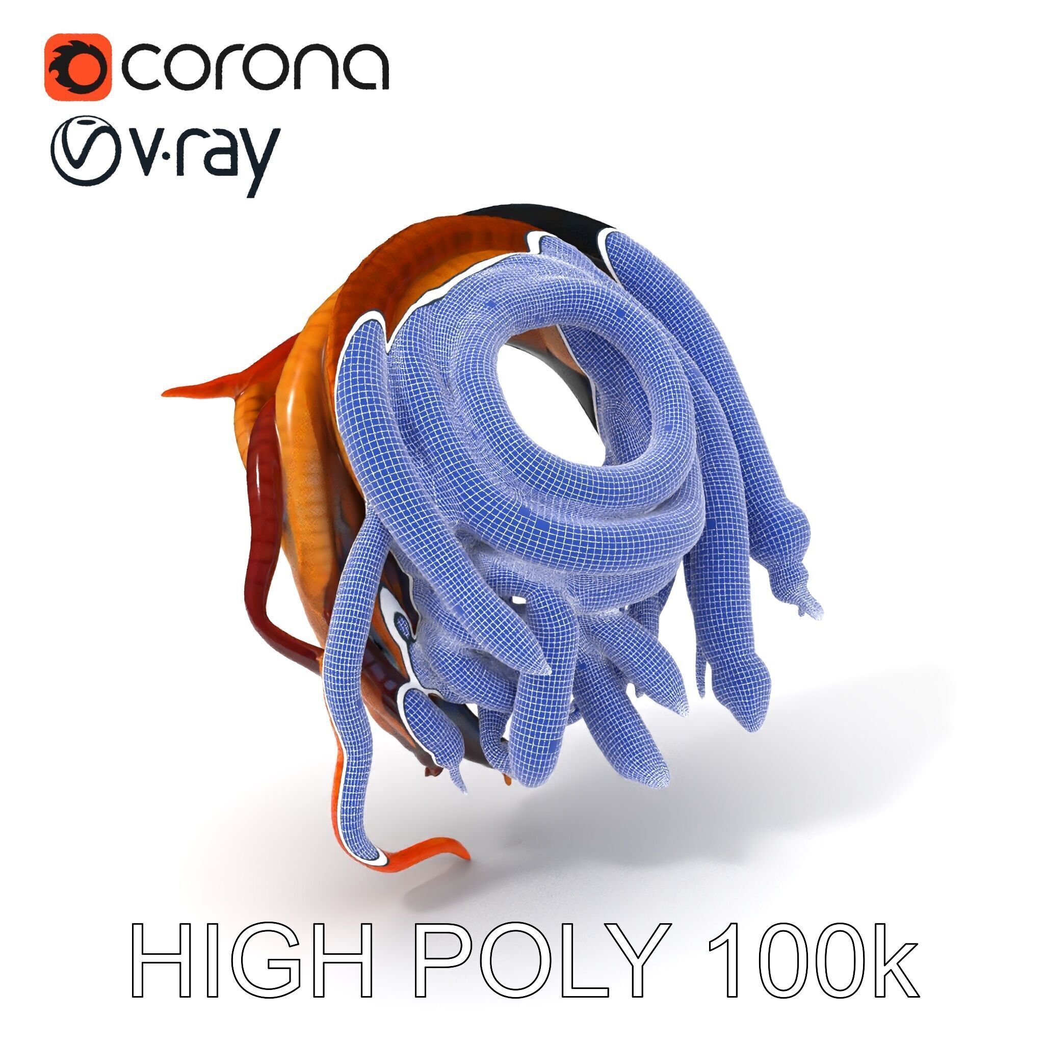 Realistic Worm Collection D Model Pack Low-poly 3D model_4