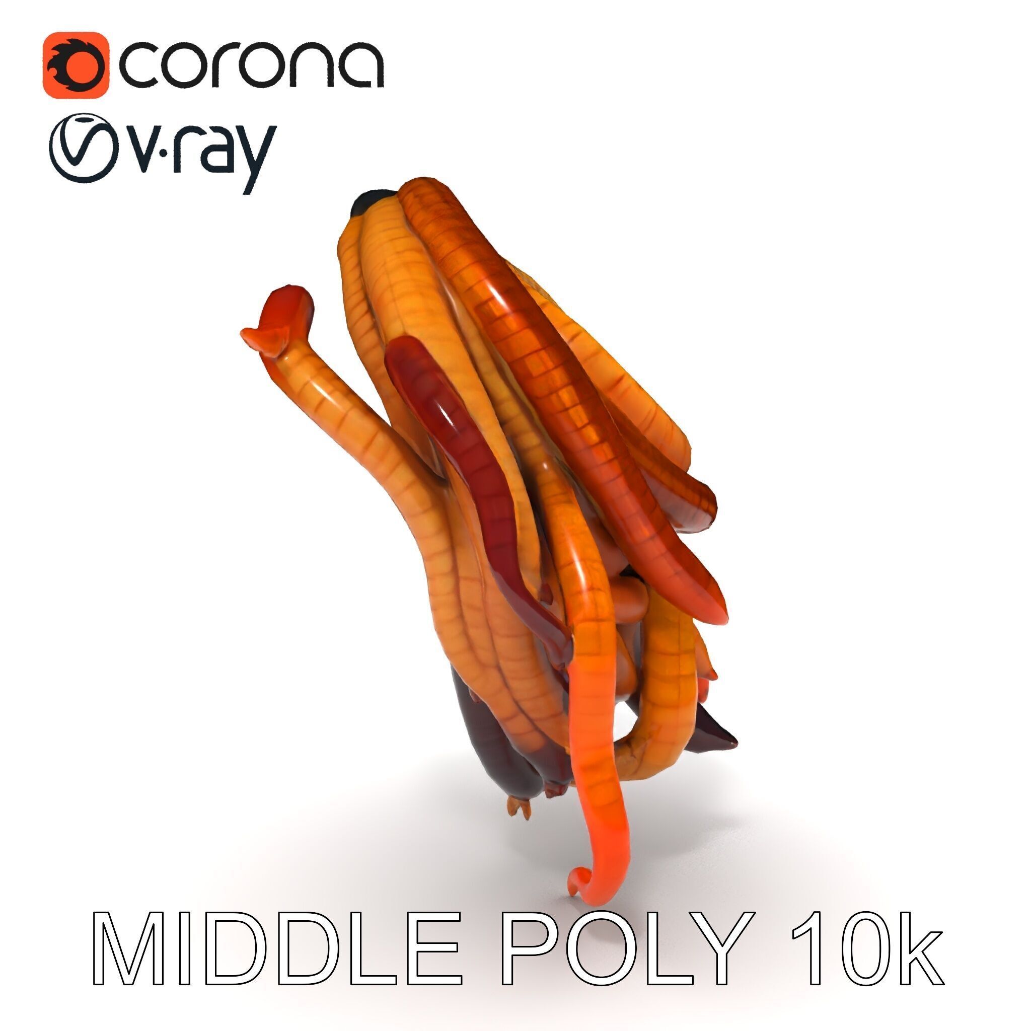 Realistic Worm Collection D Model Pack Low-poly 3D model_9