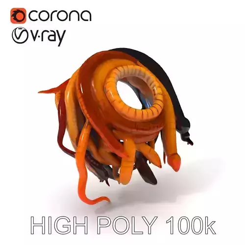 Realistic Worm Collection D Model Pack