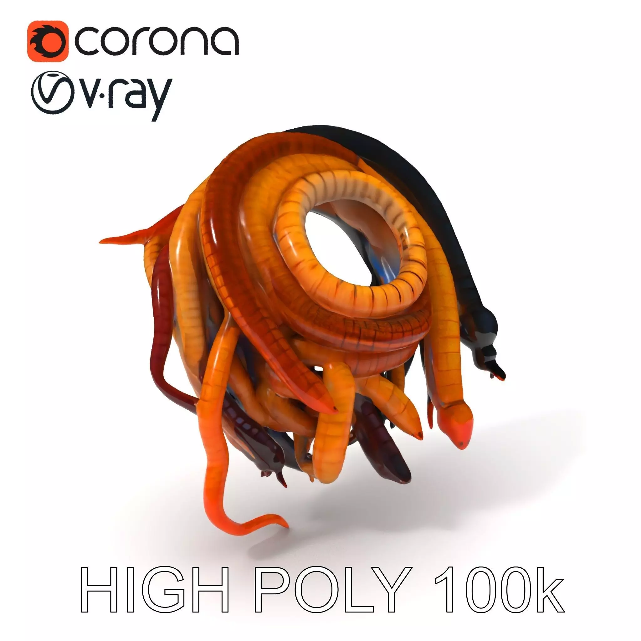 Realistic Worm Collection D Model Pack Low-poly 3D model_0