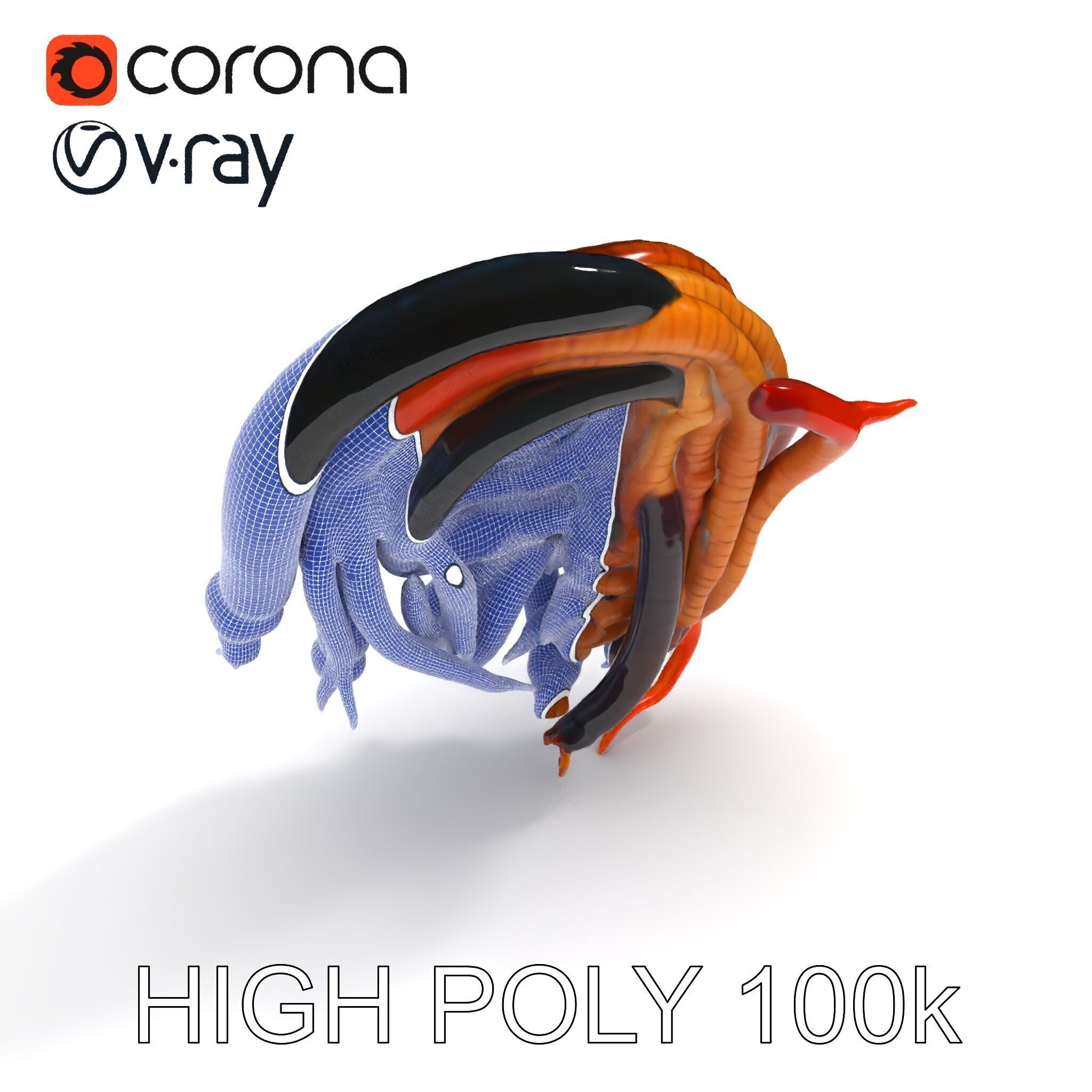 Realistic Worm Collection D Model Pack Low-poly 3D model_18