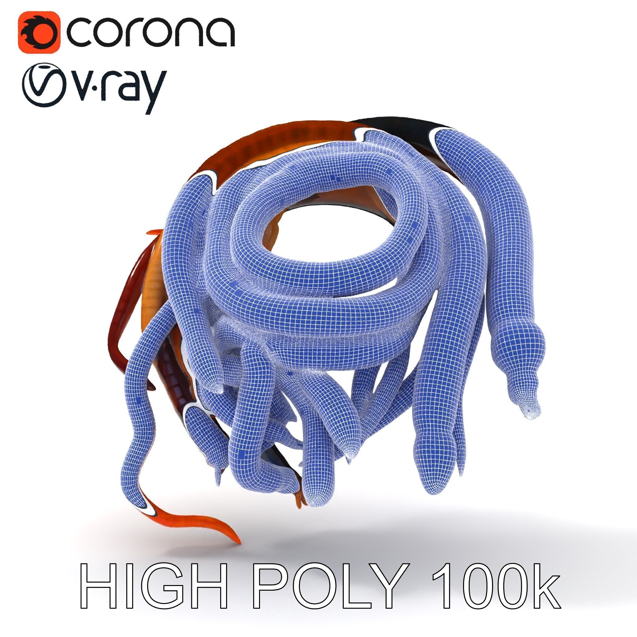 Realistic Worm Collection D Model Pack Low-poly 3D model_27