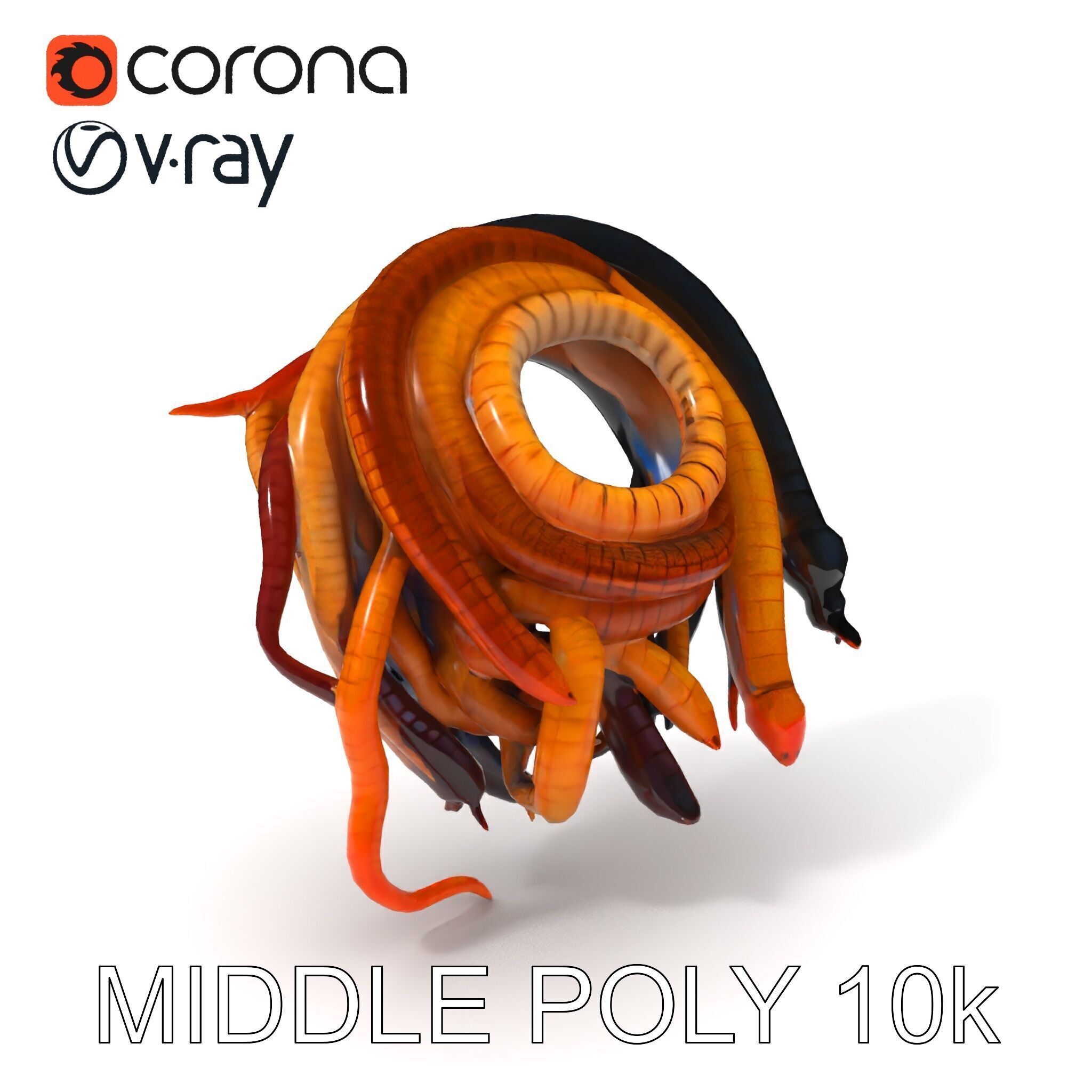 Realistic Worm Collection D Model Pack Low-poly 3D model_14