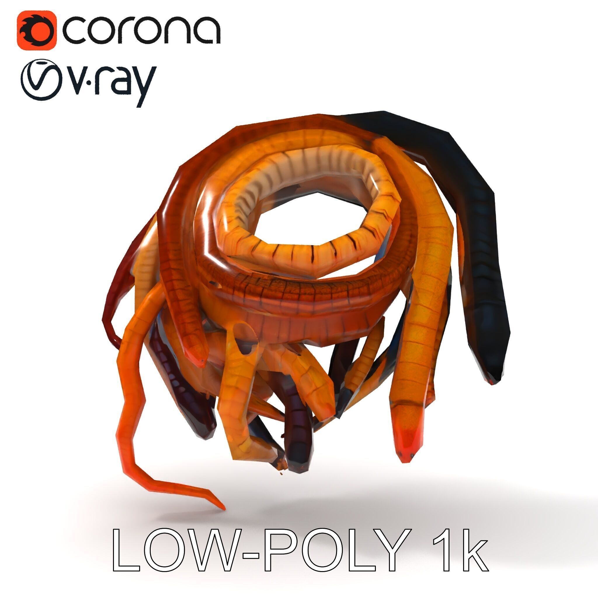 Realistic Worm Collection D Model Pack Low-poly 3D model_7