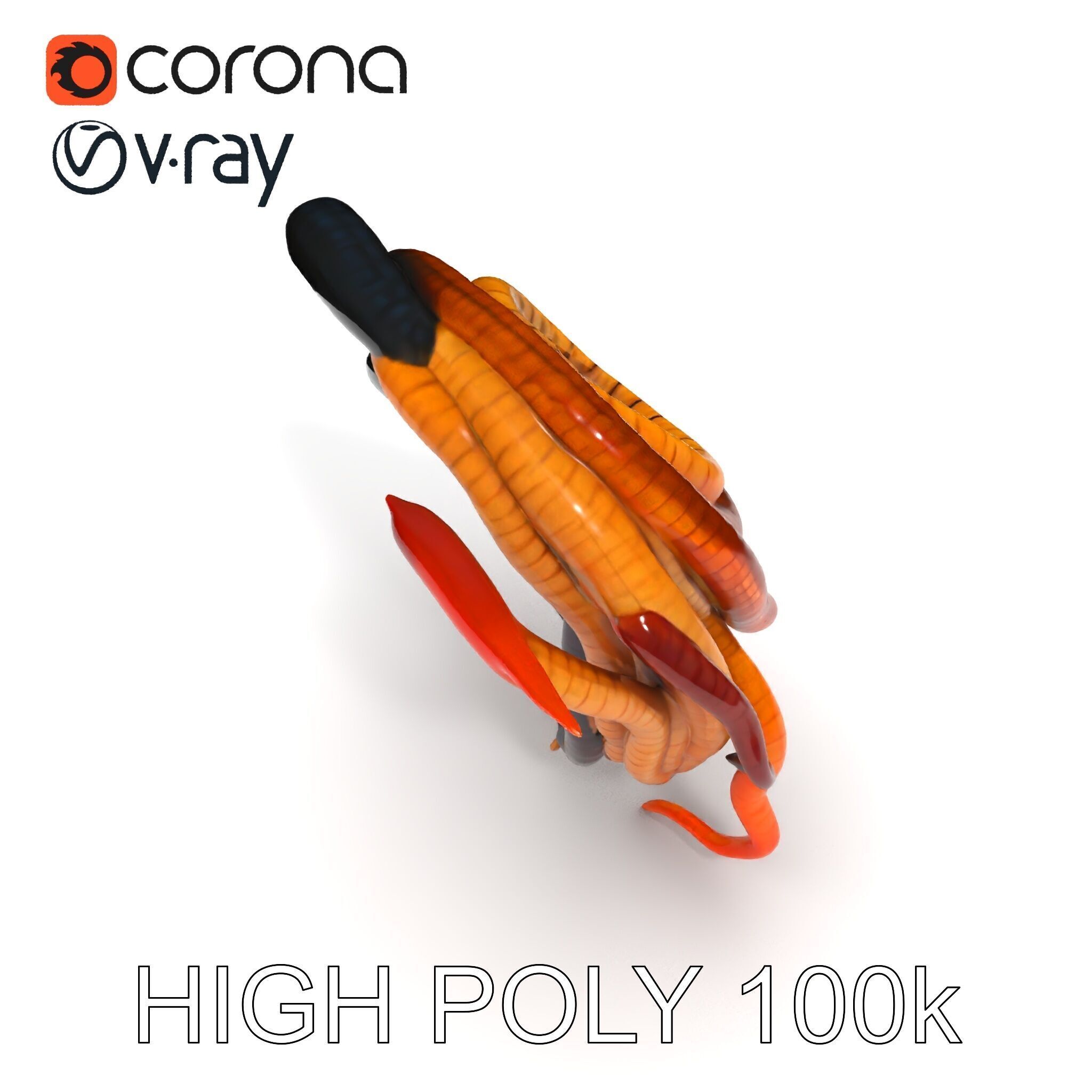 Realistic Worm Collection D Model Pack Low-poly 3D model_21