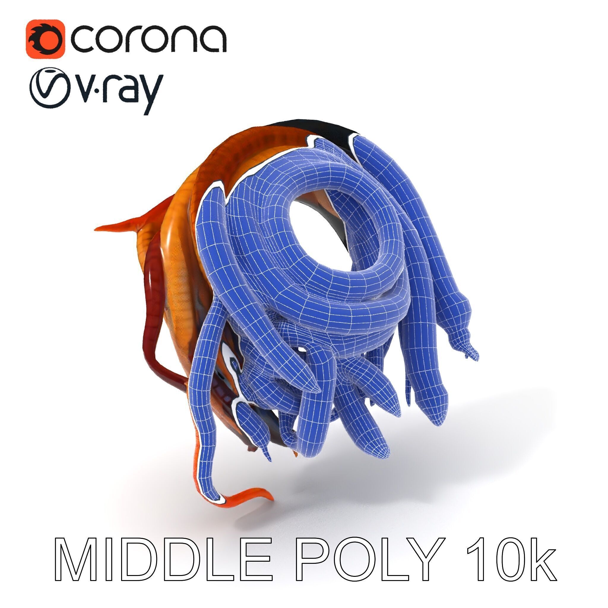 Realistic Worm Collection D Model Pack Low-poly 3D model_33