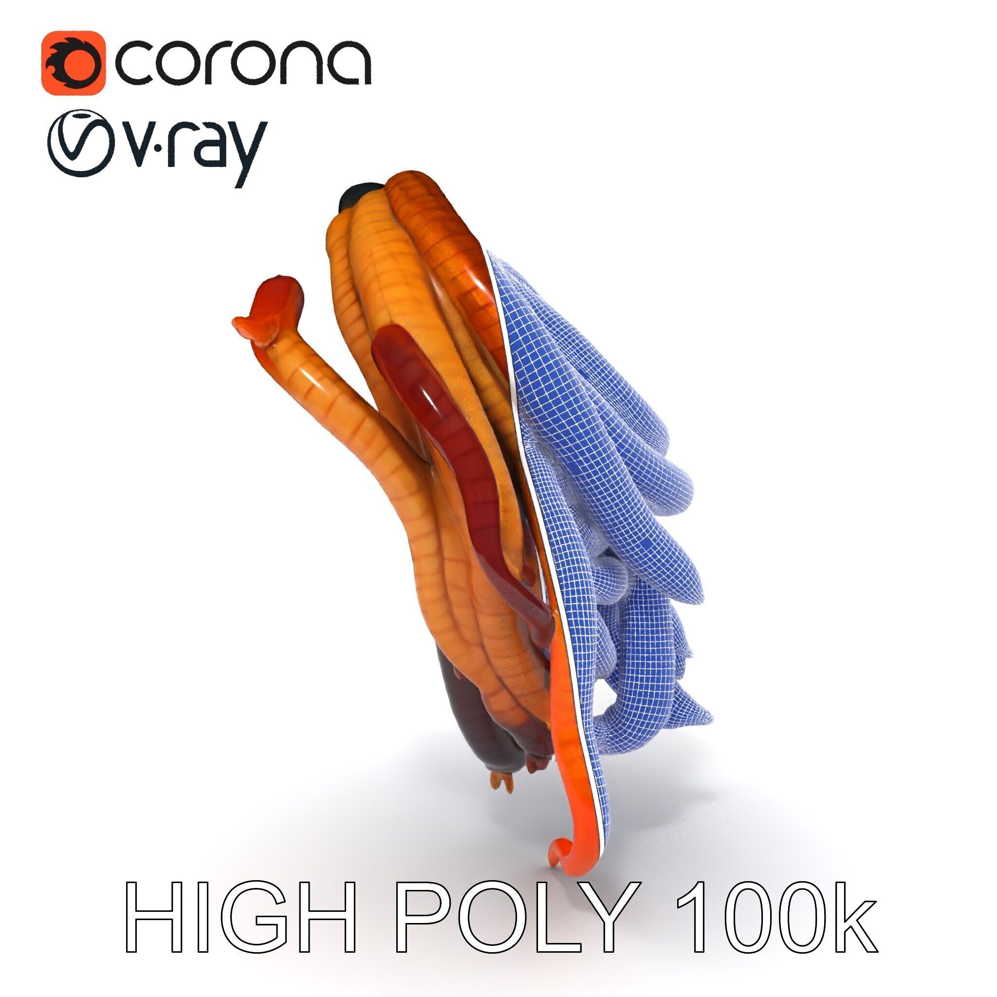 Realistic Worm Collection D Model Pack Low-poly 3D model_35