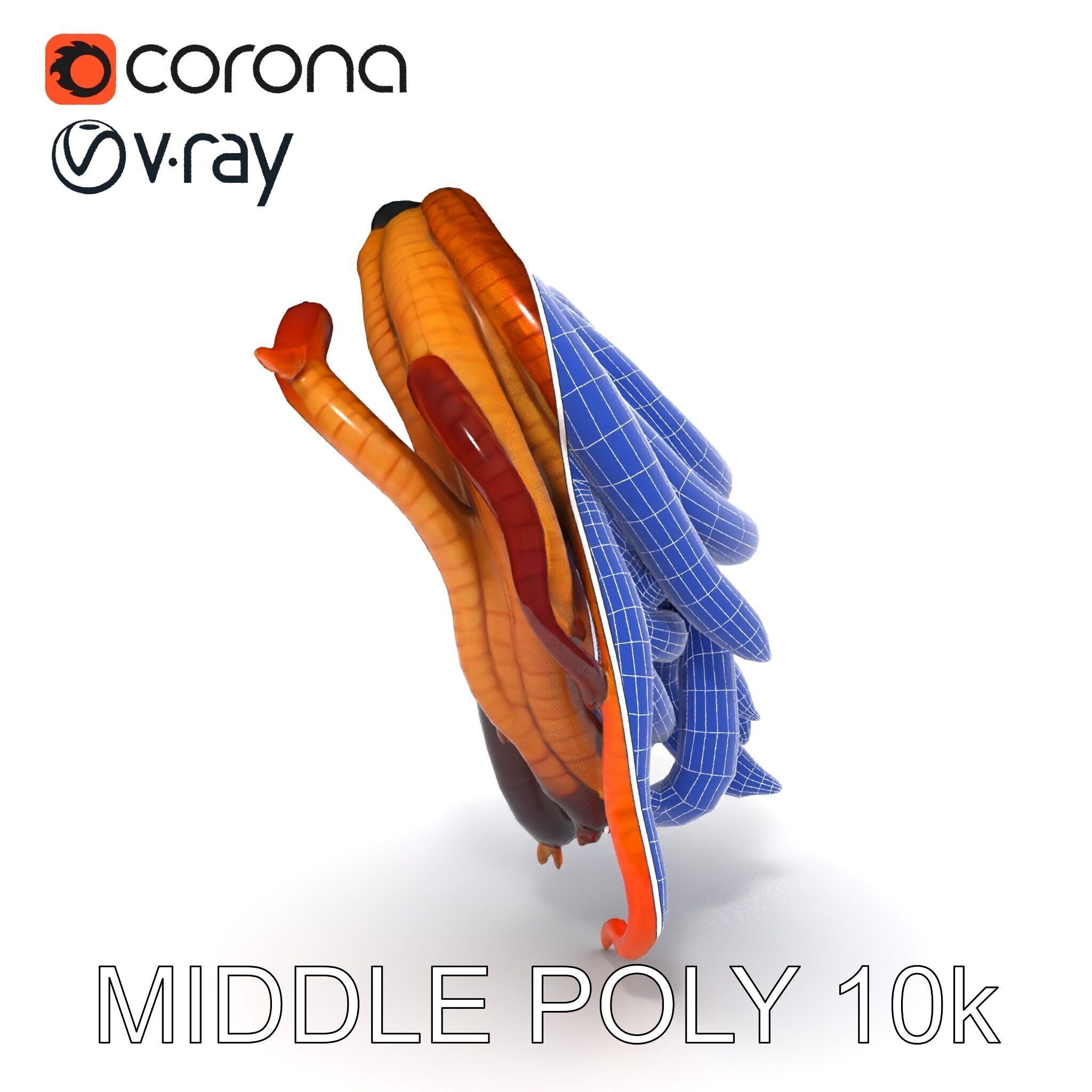 Realistic Worm Collection D Model Pack Low-poly 3D model_12