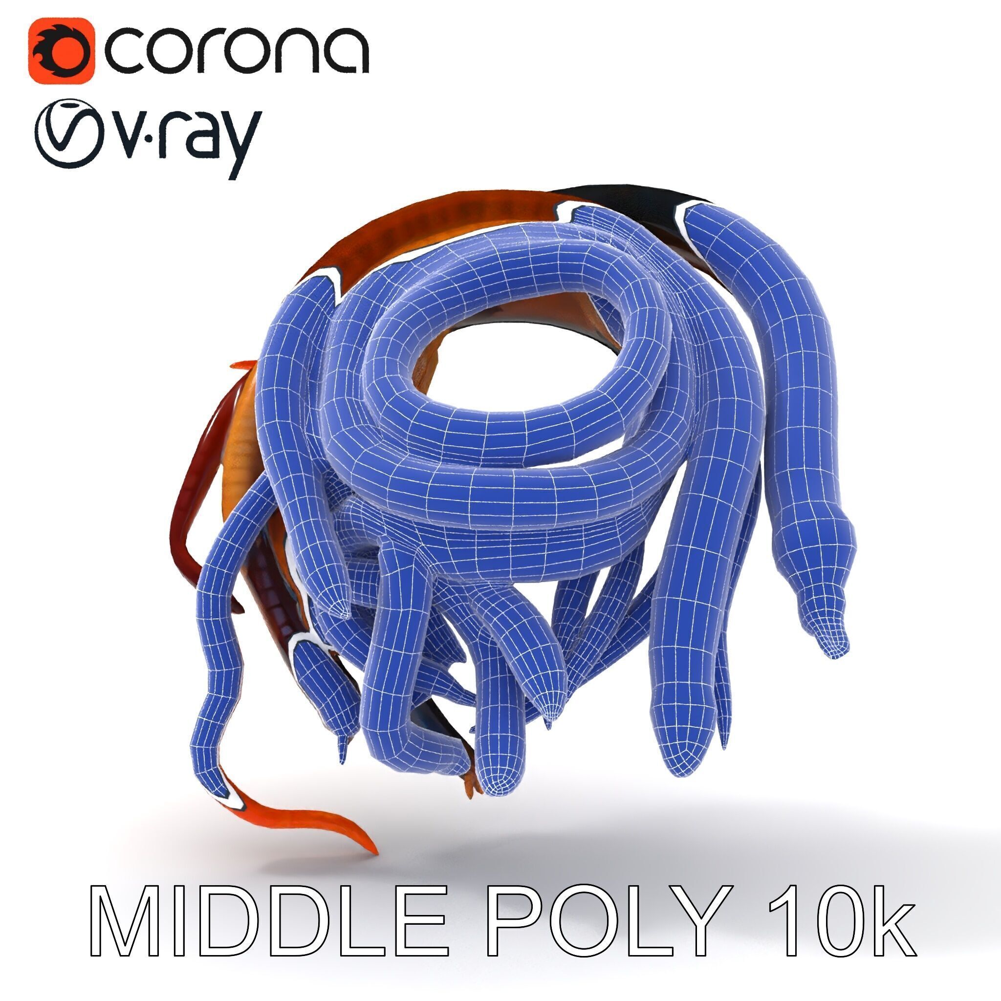 Realistic Worm Collection D Model Pack Low-poly 3D model_6