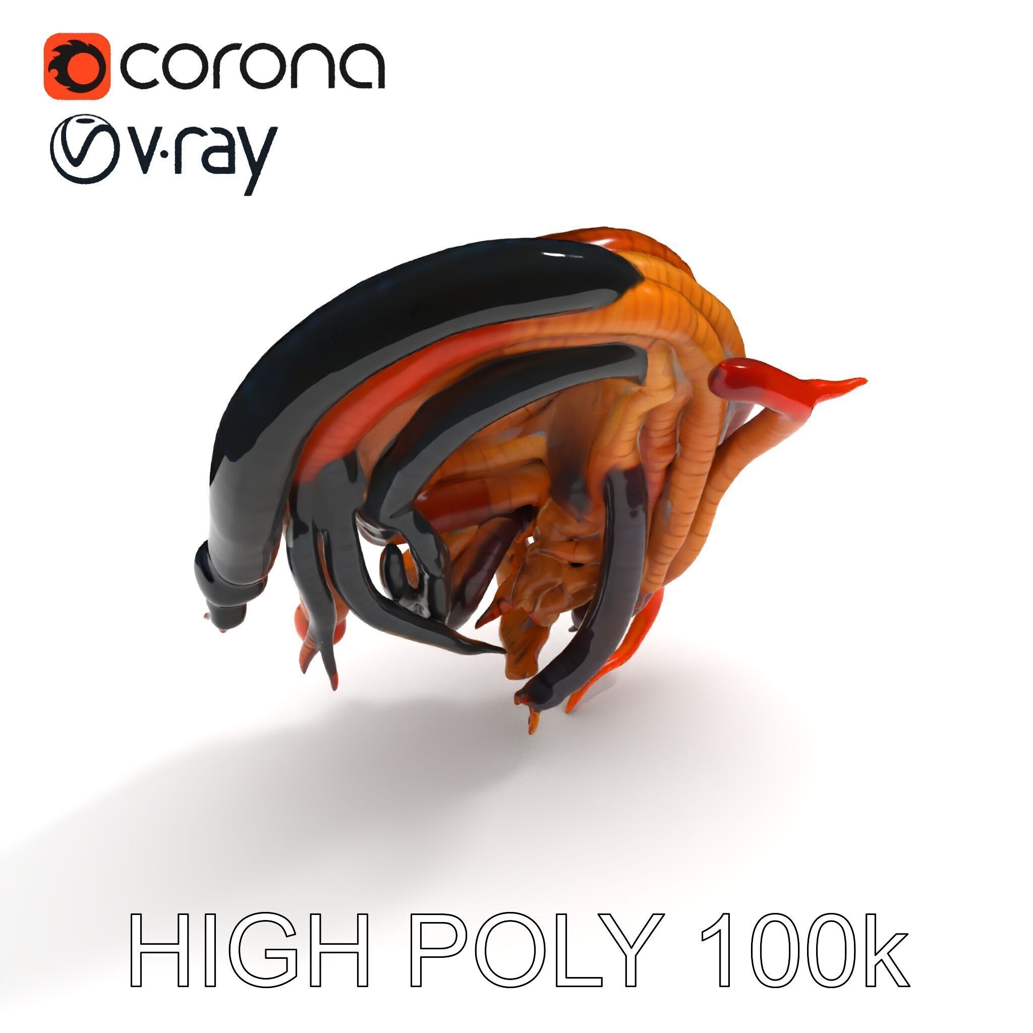 Realistic Worm Collection D Model Pack Low-poly 3D model_11