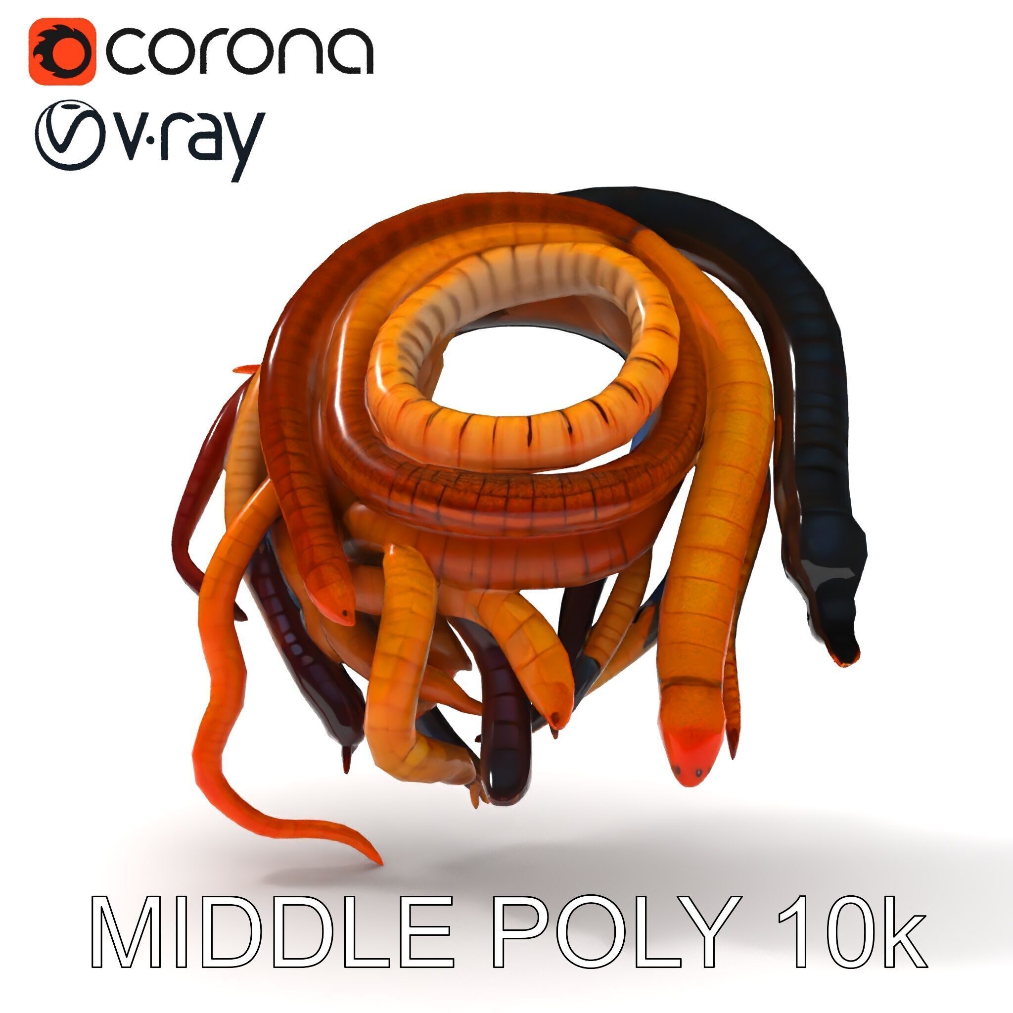 Realistic Worm Collection D Model Pack Low-poly 3D model_22