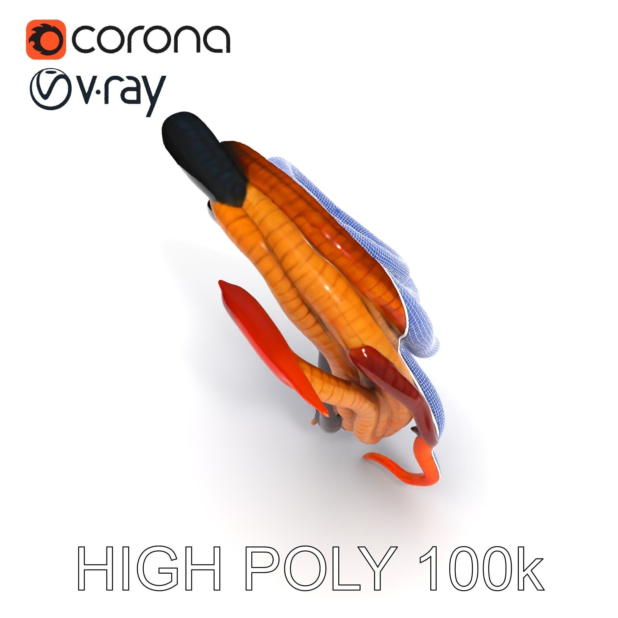 Realistic Worm Collection D Model Pack Low-poly 3D model_32