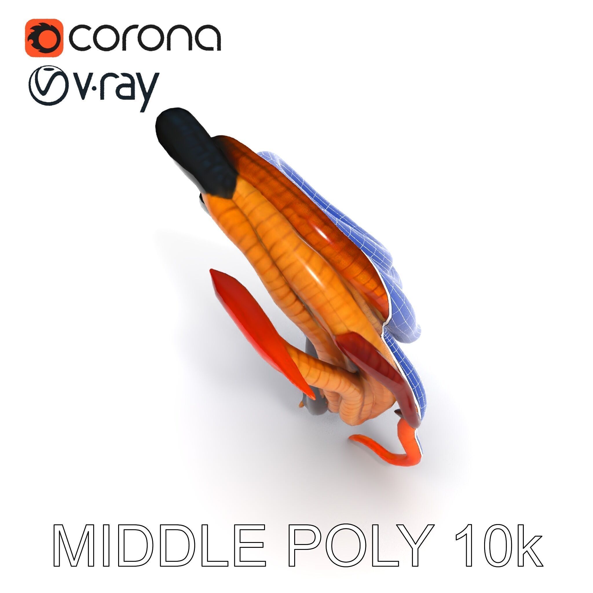 Realistic Worm Collection D Model Pack Low-poly 3D model_30