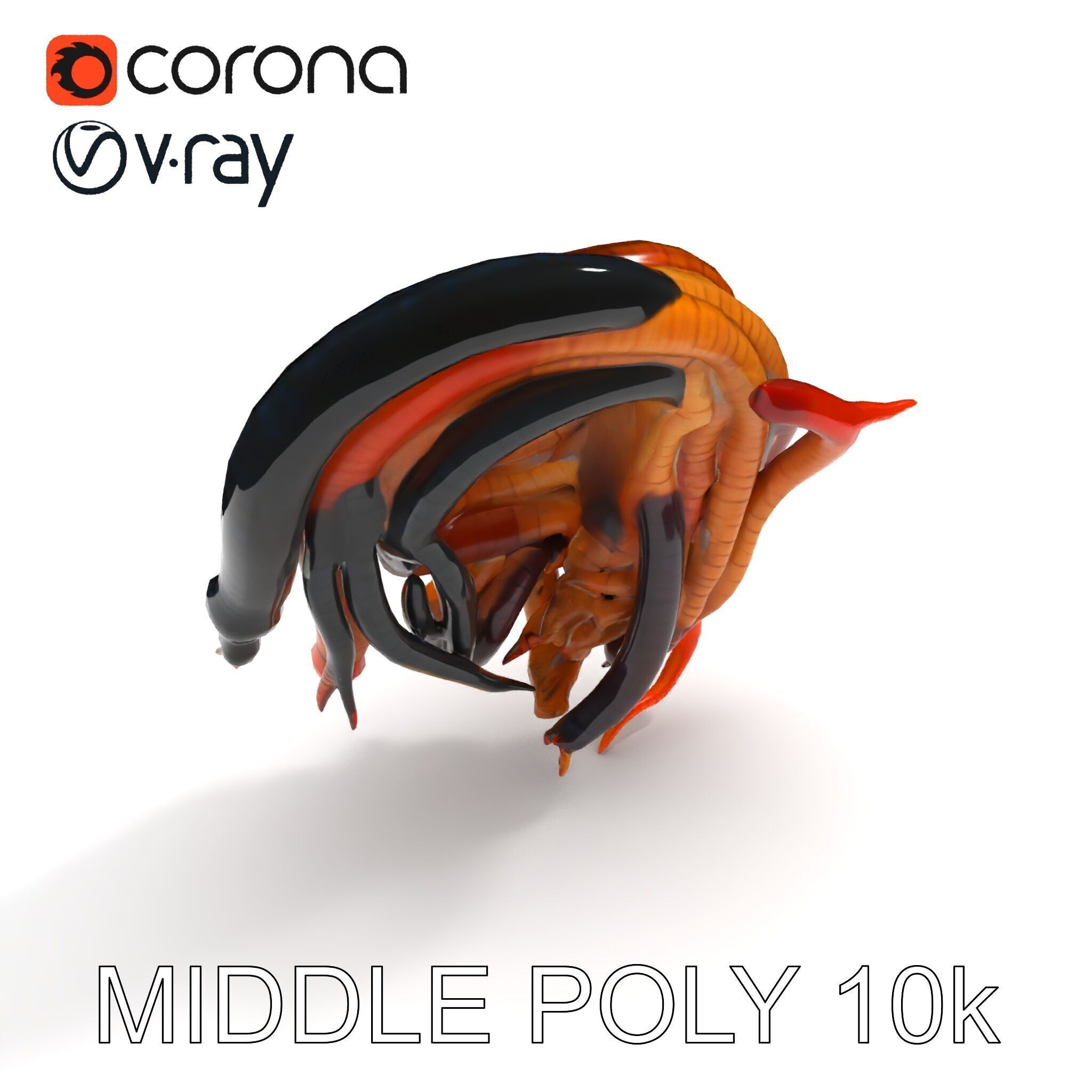 Realistic Worm Collection D Model Pack Low-poly 3D model_25