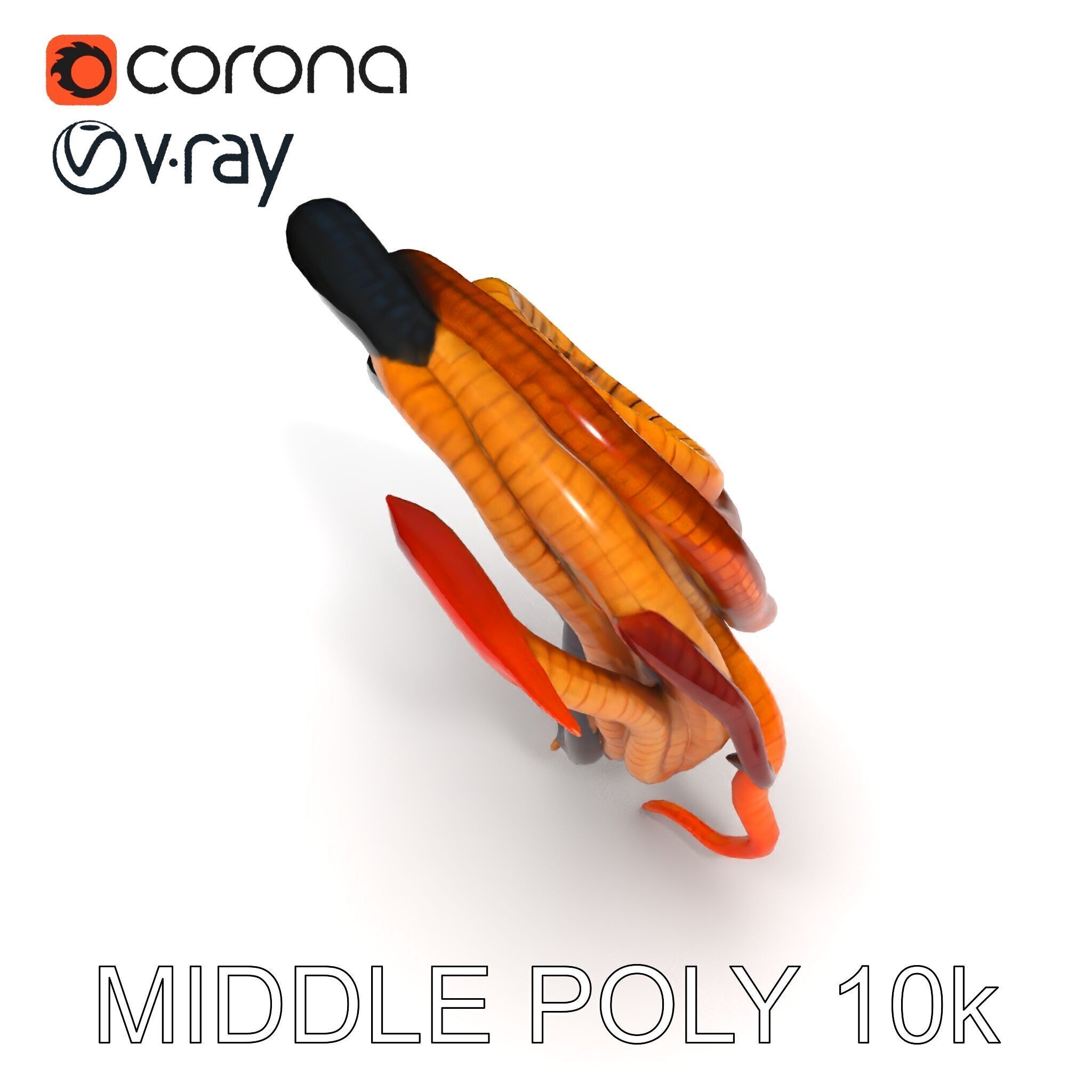 Realistic Worm Collection D Model Pack Low-poly 3D model_16