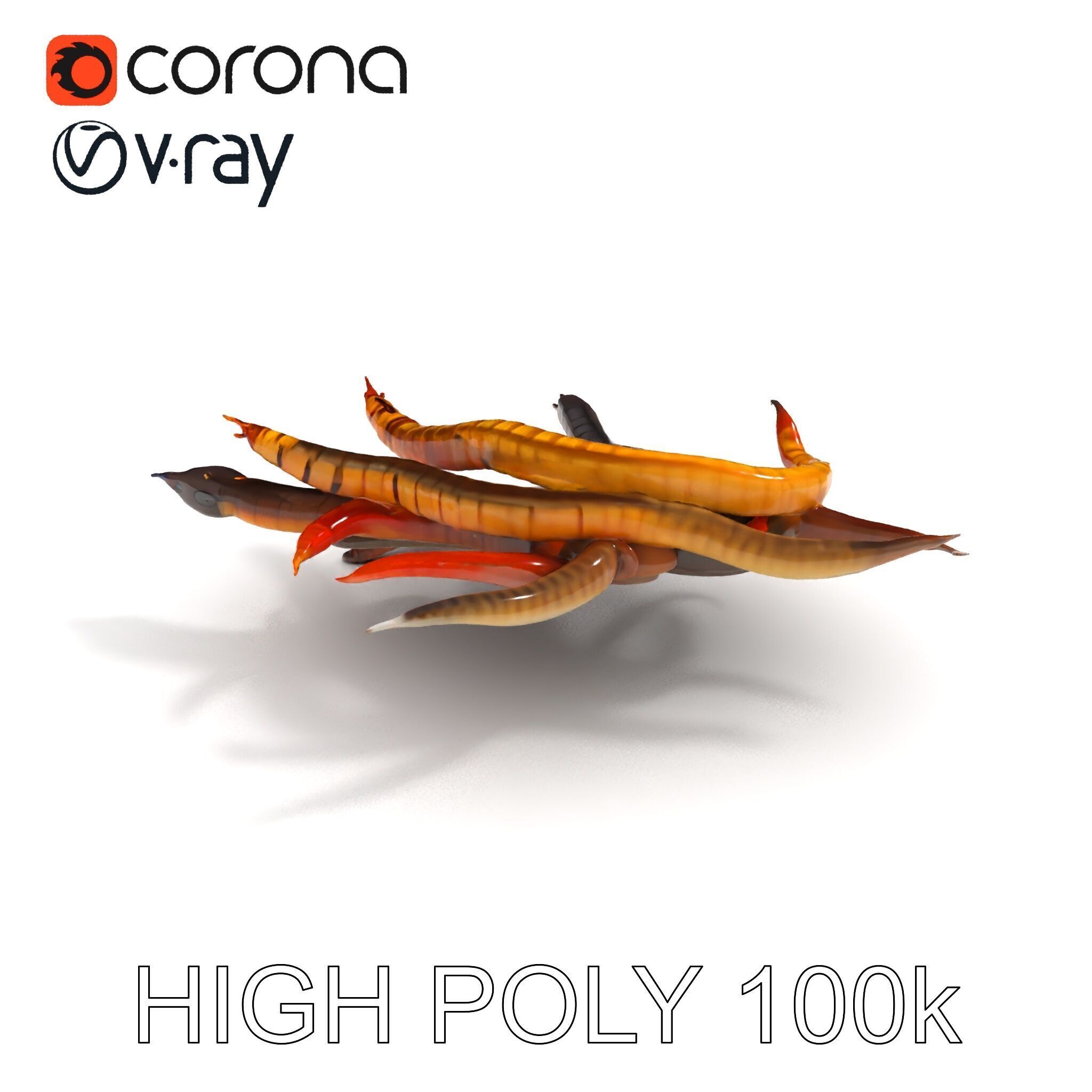 Colorful Centipede Model Pack Low-poly 3D model_19