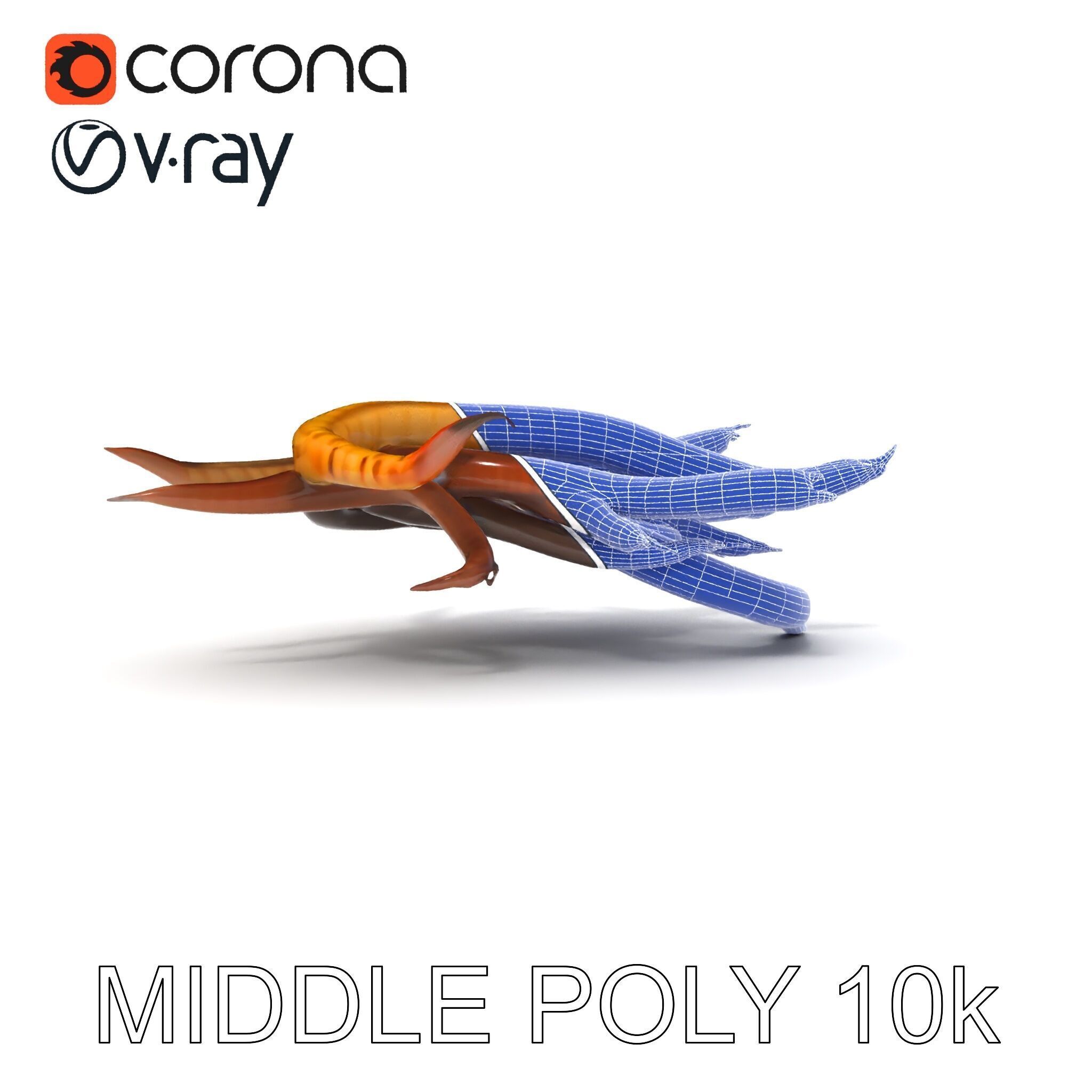 Colorful Centipede Model Pack Low-poly 3D model_12