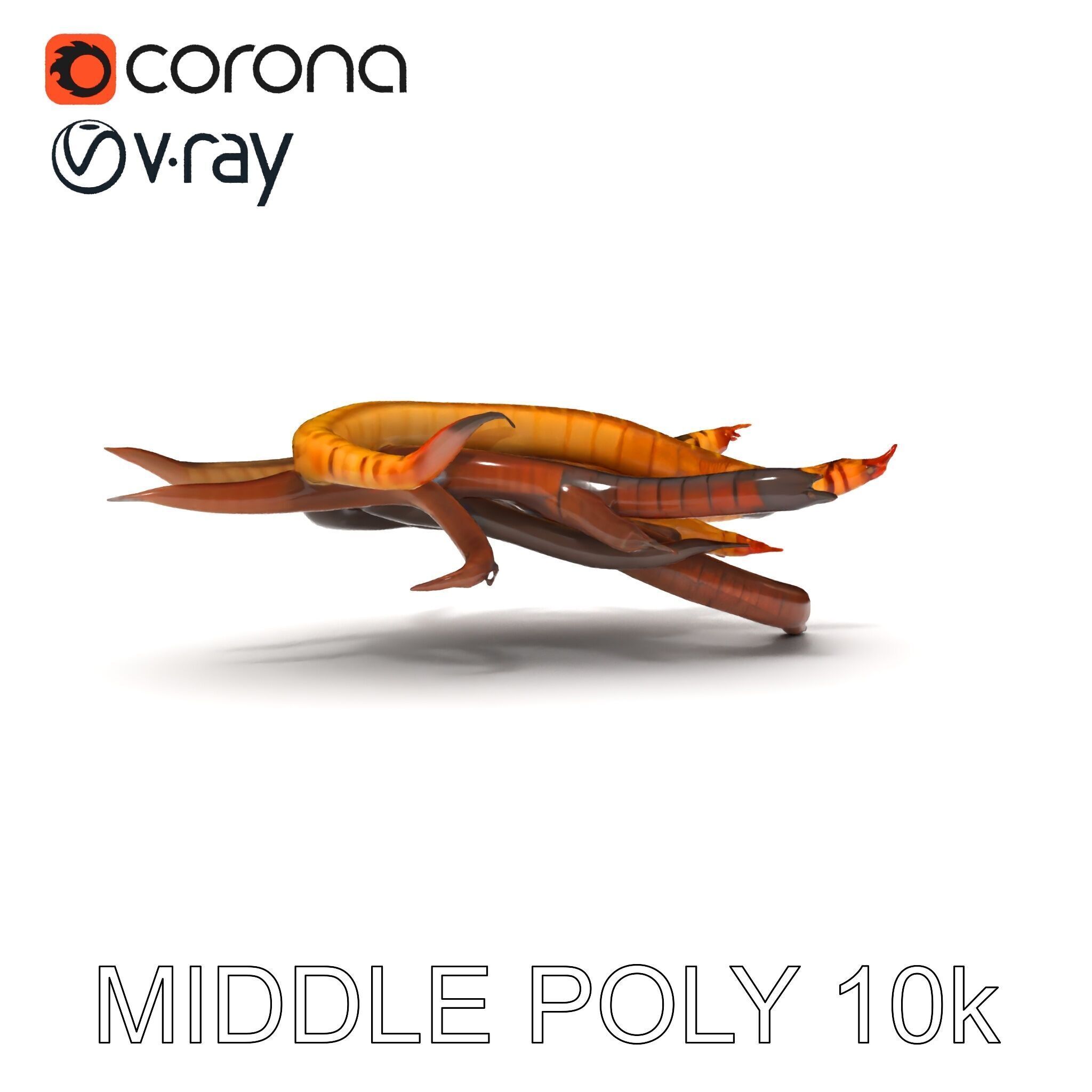 Colorful Centipede Model Pack Low-poly 3D model_6