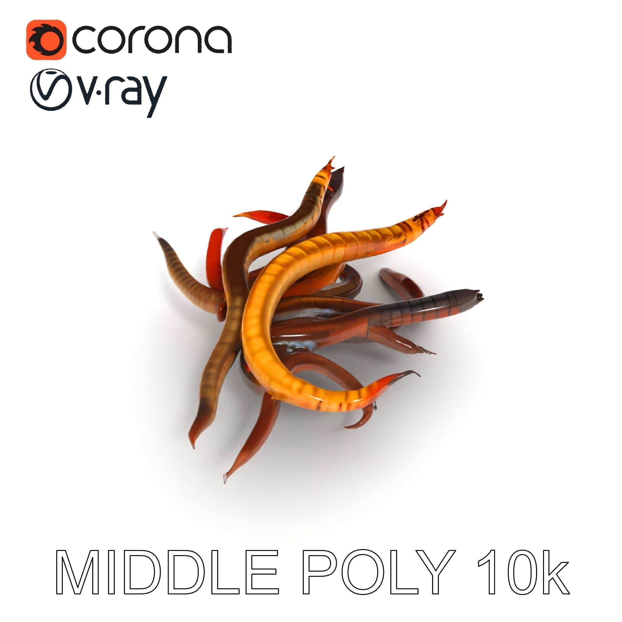 Colorful Centipede Model Pack Low-poly 3D model_33