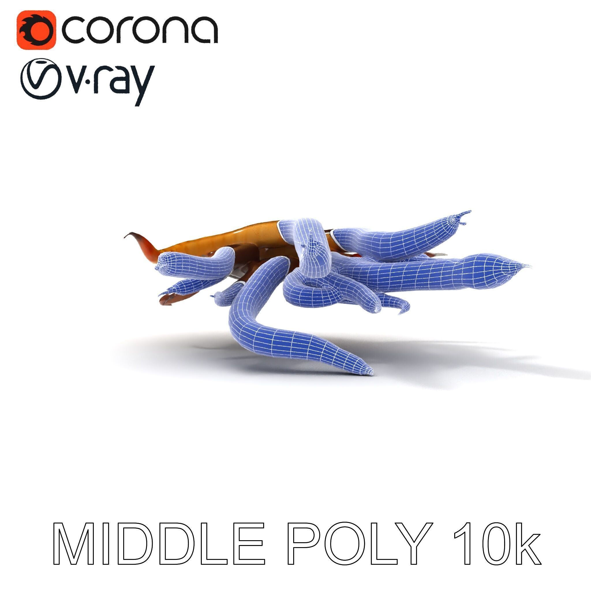Colorful Centipede Model Pack Low-poly 3D model_30