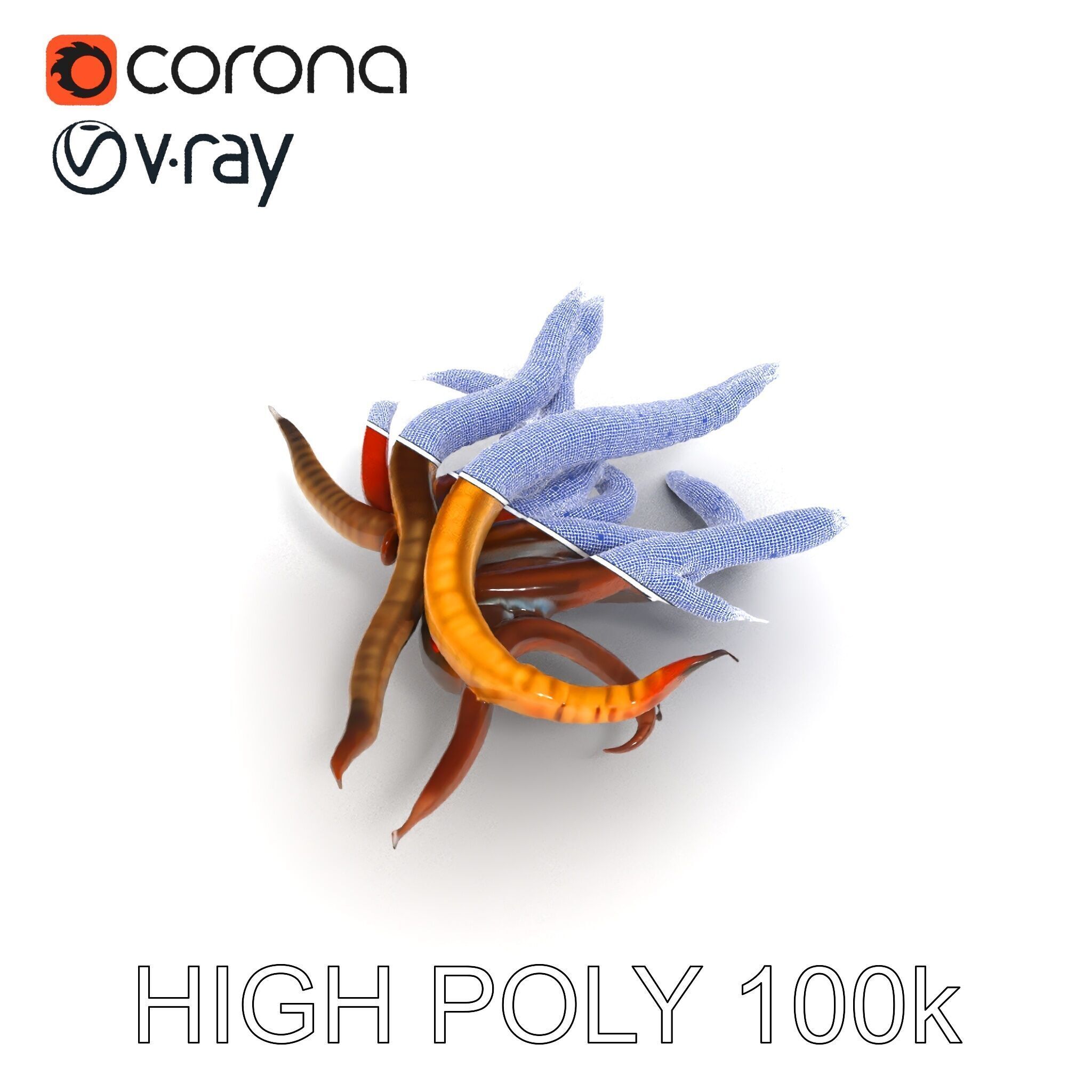 Colorful Centipede Model Pack Low-poly 3D model_26