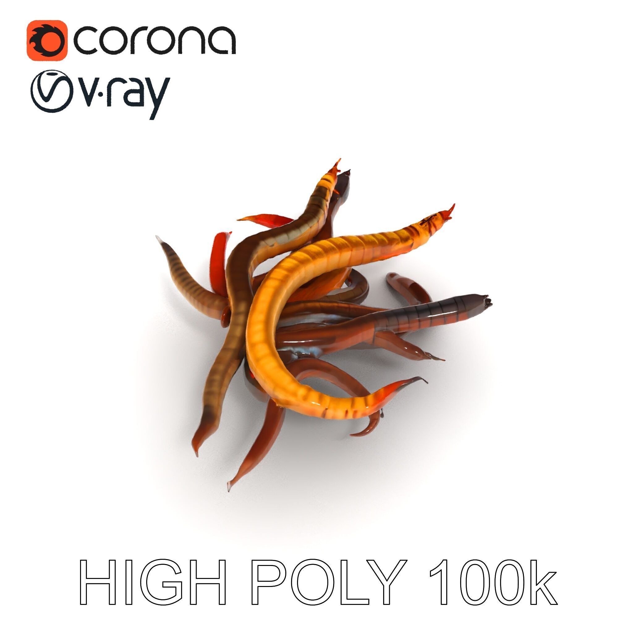 Colorful Centipede Model Pack Low-poly 3D model_16