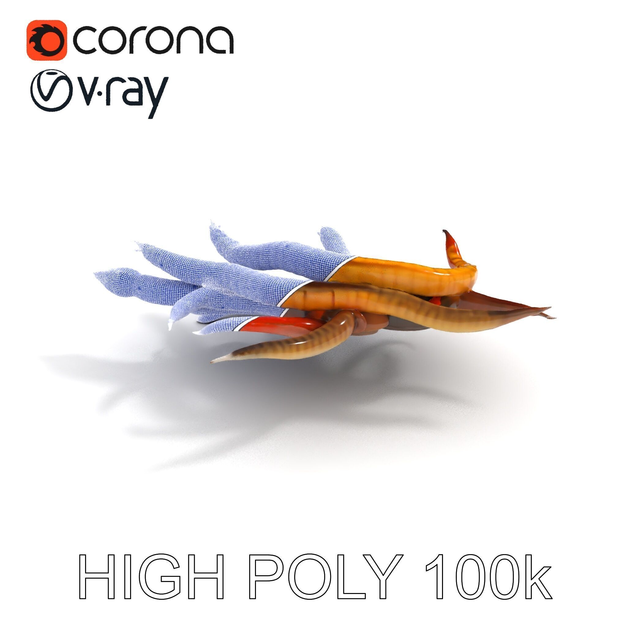 Colorful Centipede Model Pack Low-poly 3D model_32