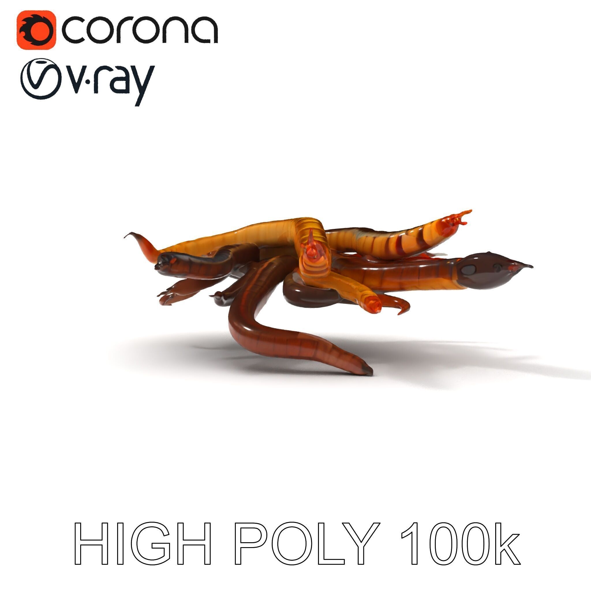 Colorful Centipede Model Pack Low-poly 3D model_8