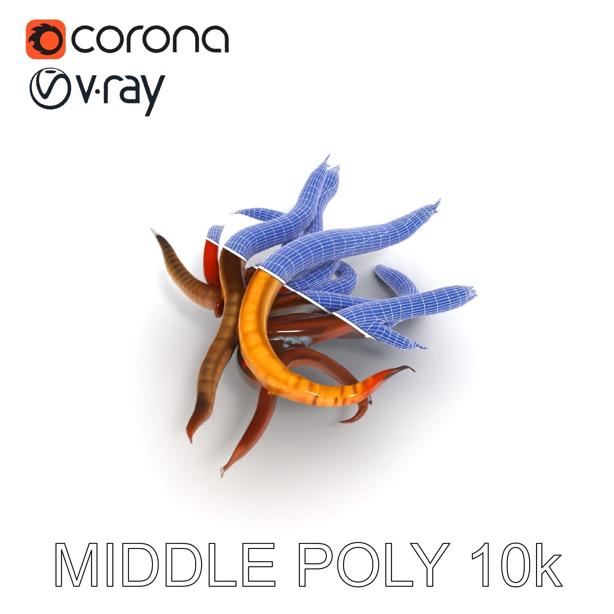 Colorful Centipede Model Pack Low-poly 3D model_9