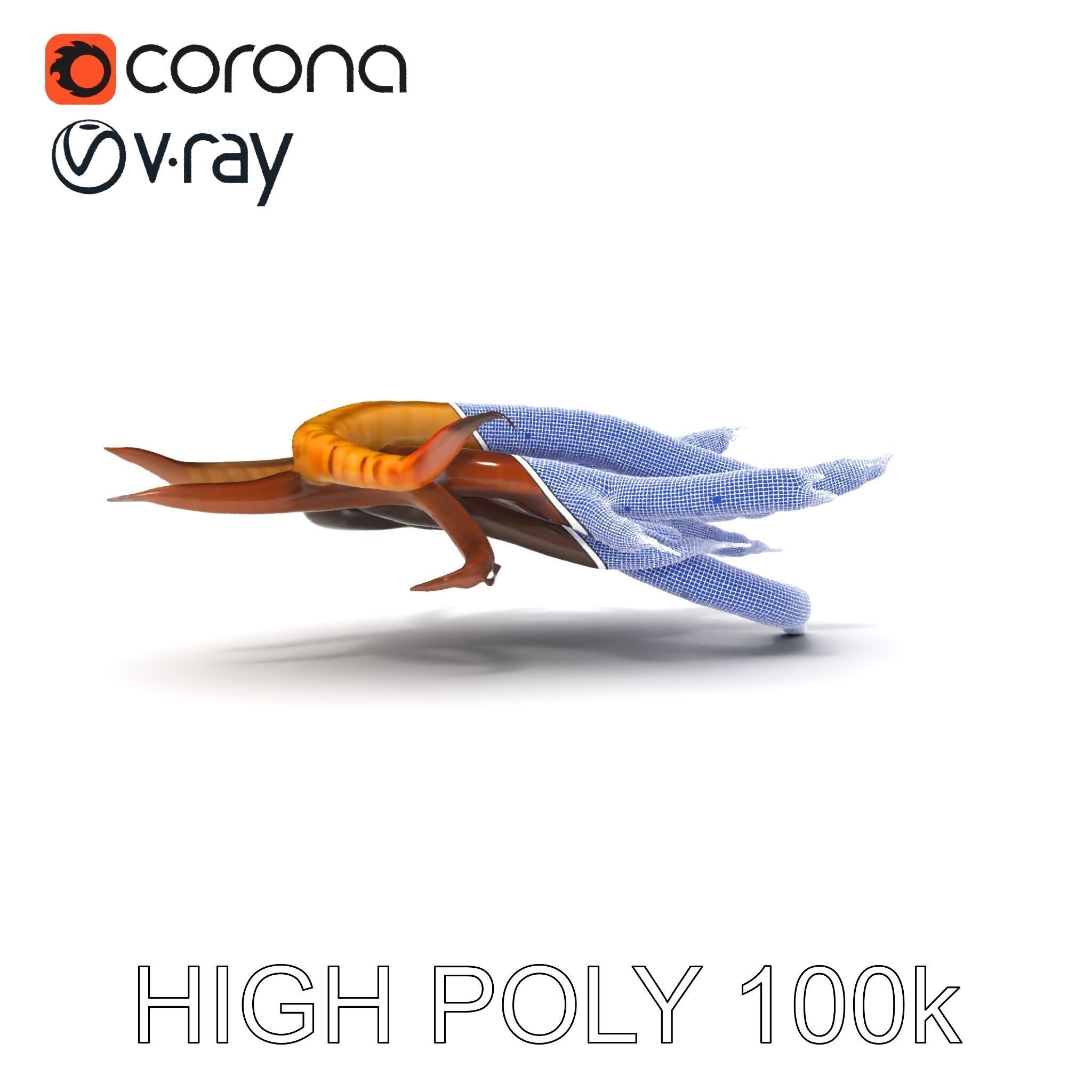 Colorful Centipede Model Pack Low-poly 3D model_29