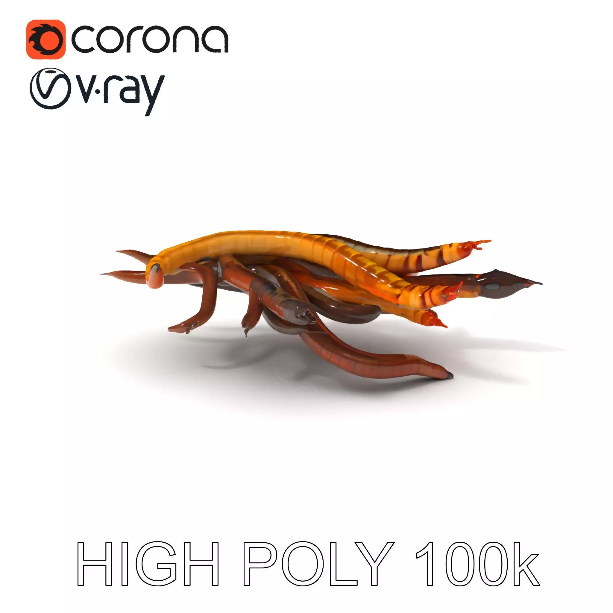 Colorful Centipede Model Pack Low-poly 3D model_0