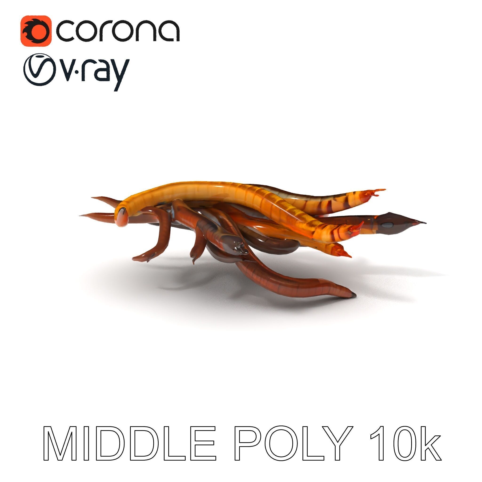 Colorful Centipede Model Pack Low-poly 3D model_20